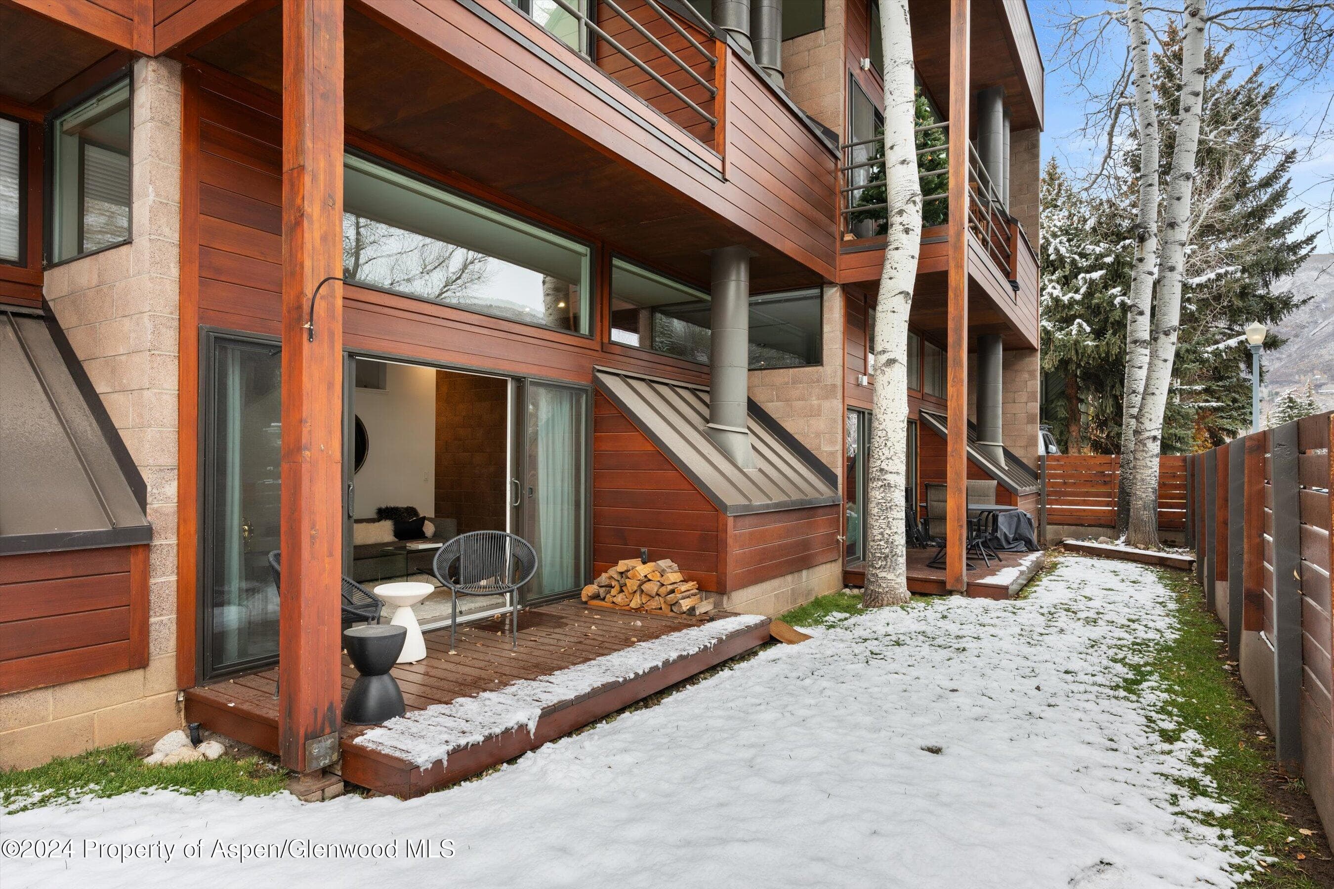 311 S Aspen Street 2, Aspen, CO 81611 - Photo 17