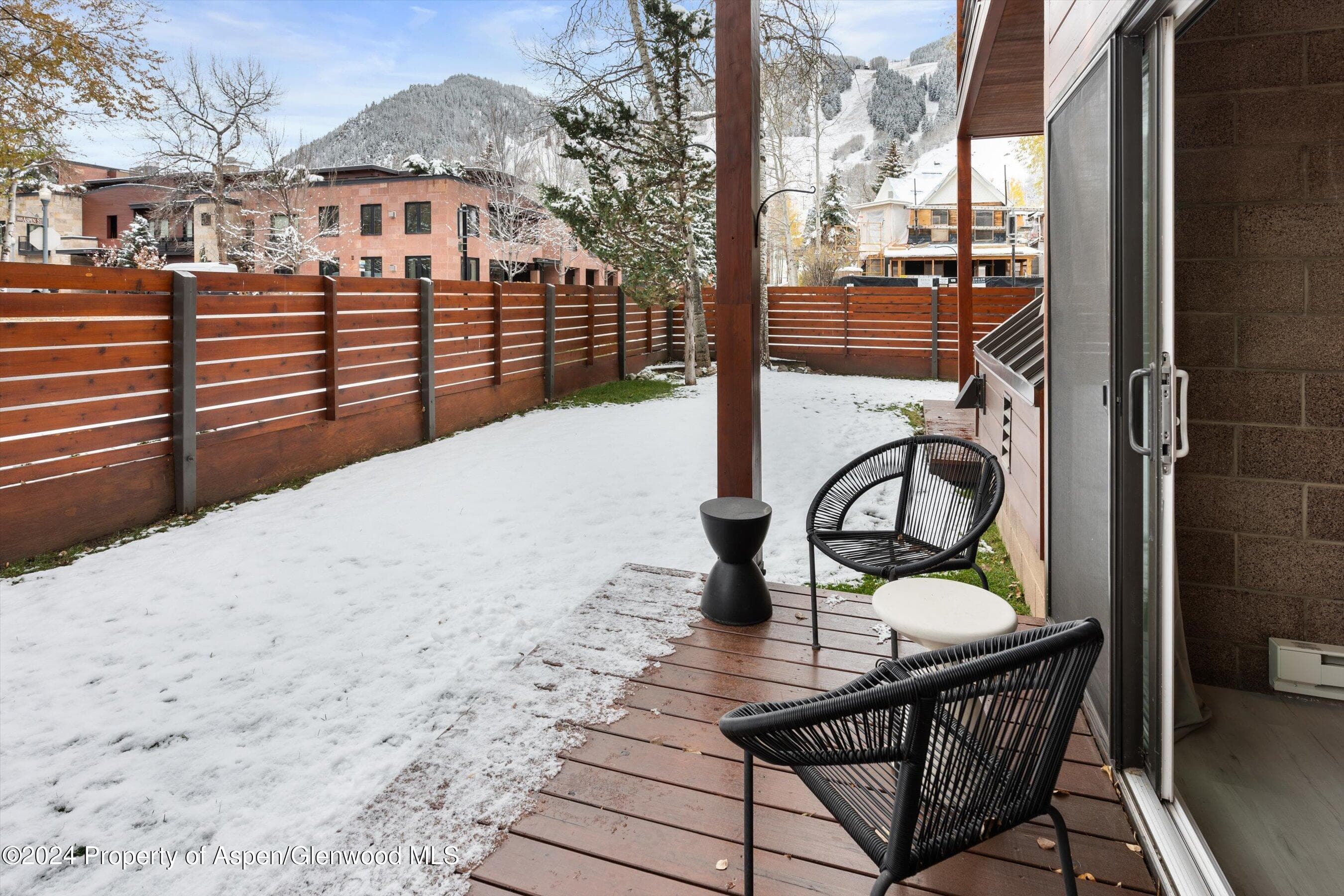 311 S Aspen Street 2, Aspen, CO 81611 - Photo 18