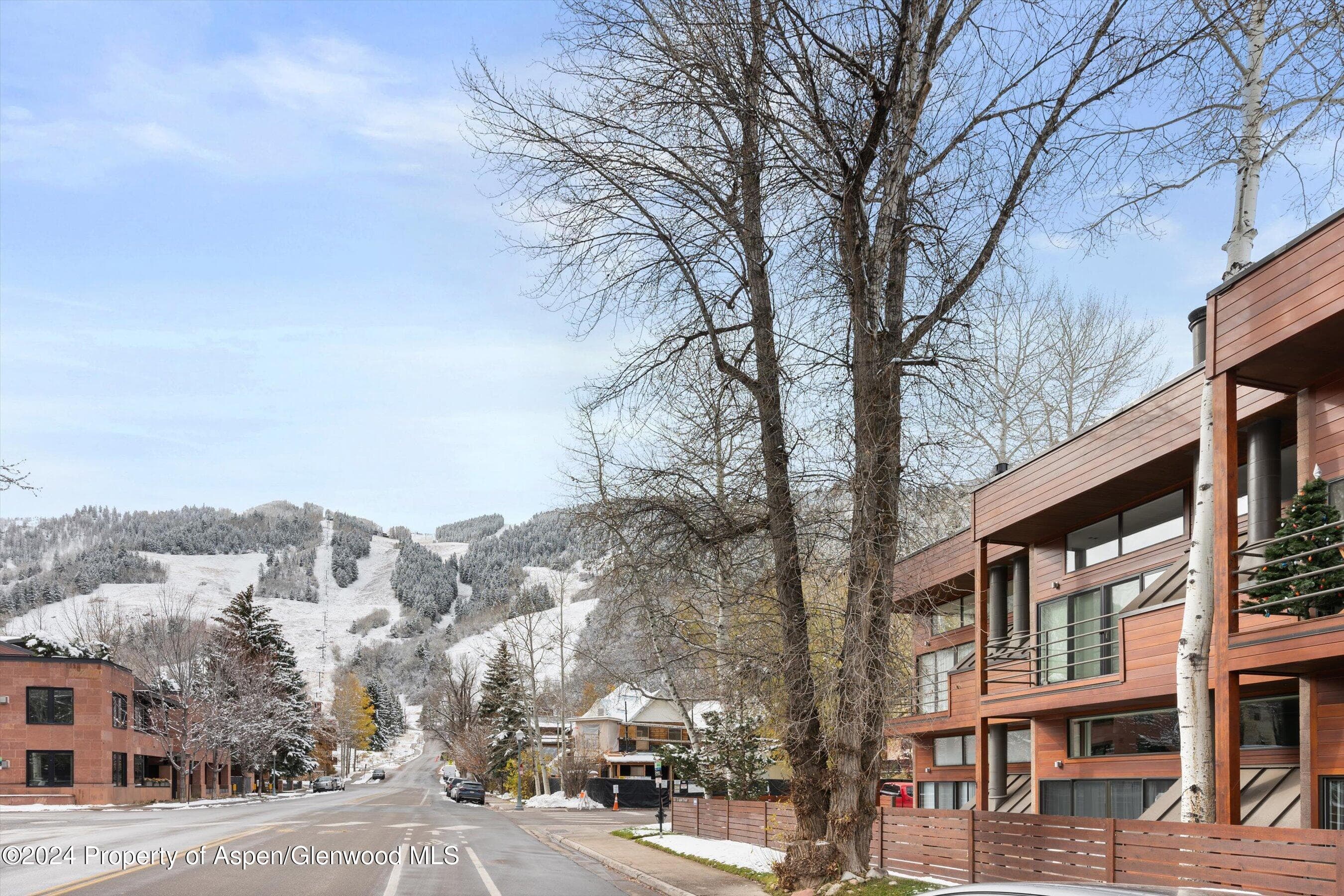 311 S Aspen Street 2, Aspen, CO 81611 - Photo 19