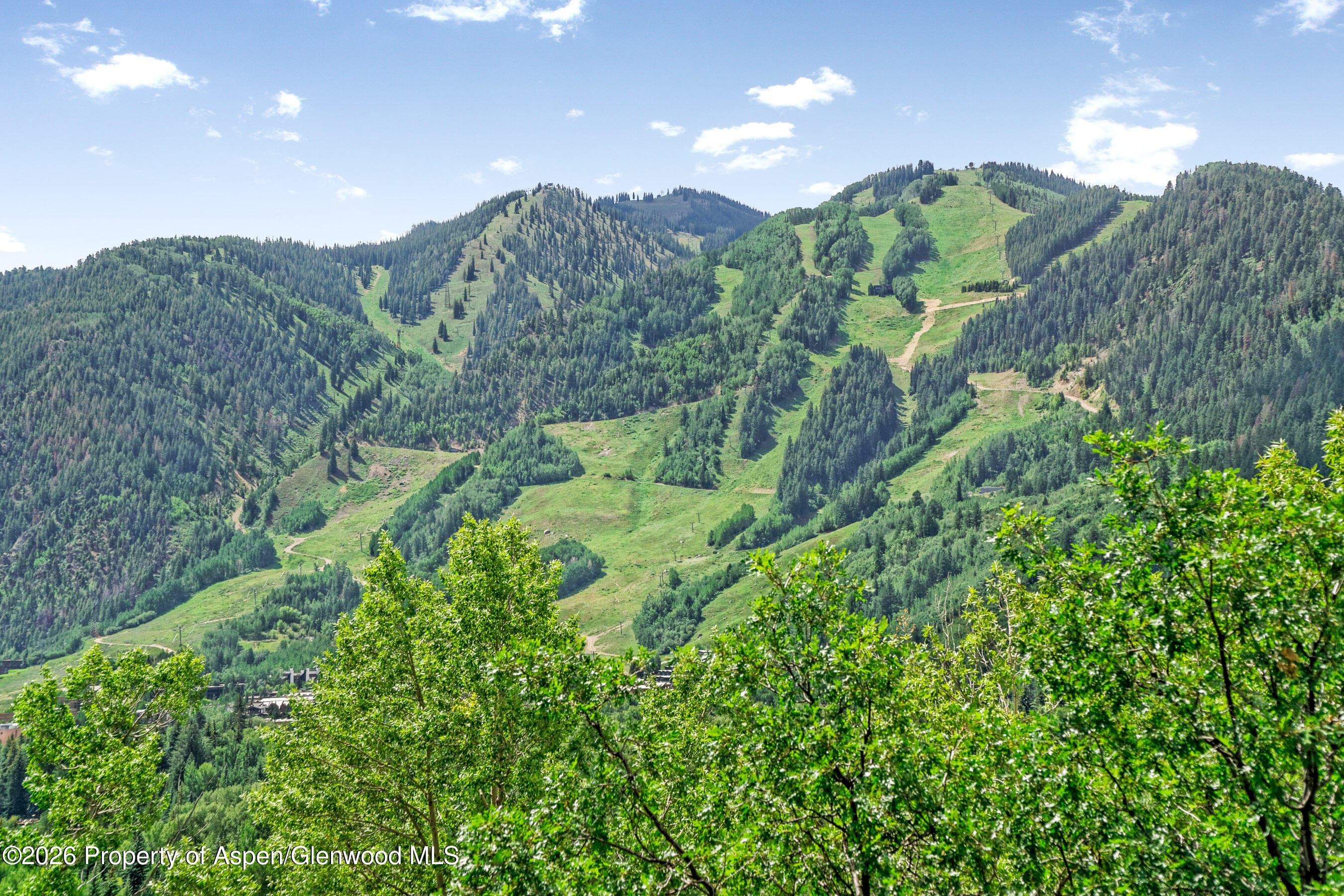 182 Bennett Place, Aspen, CO 81611 - Photo 7