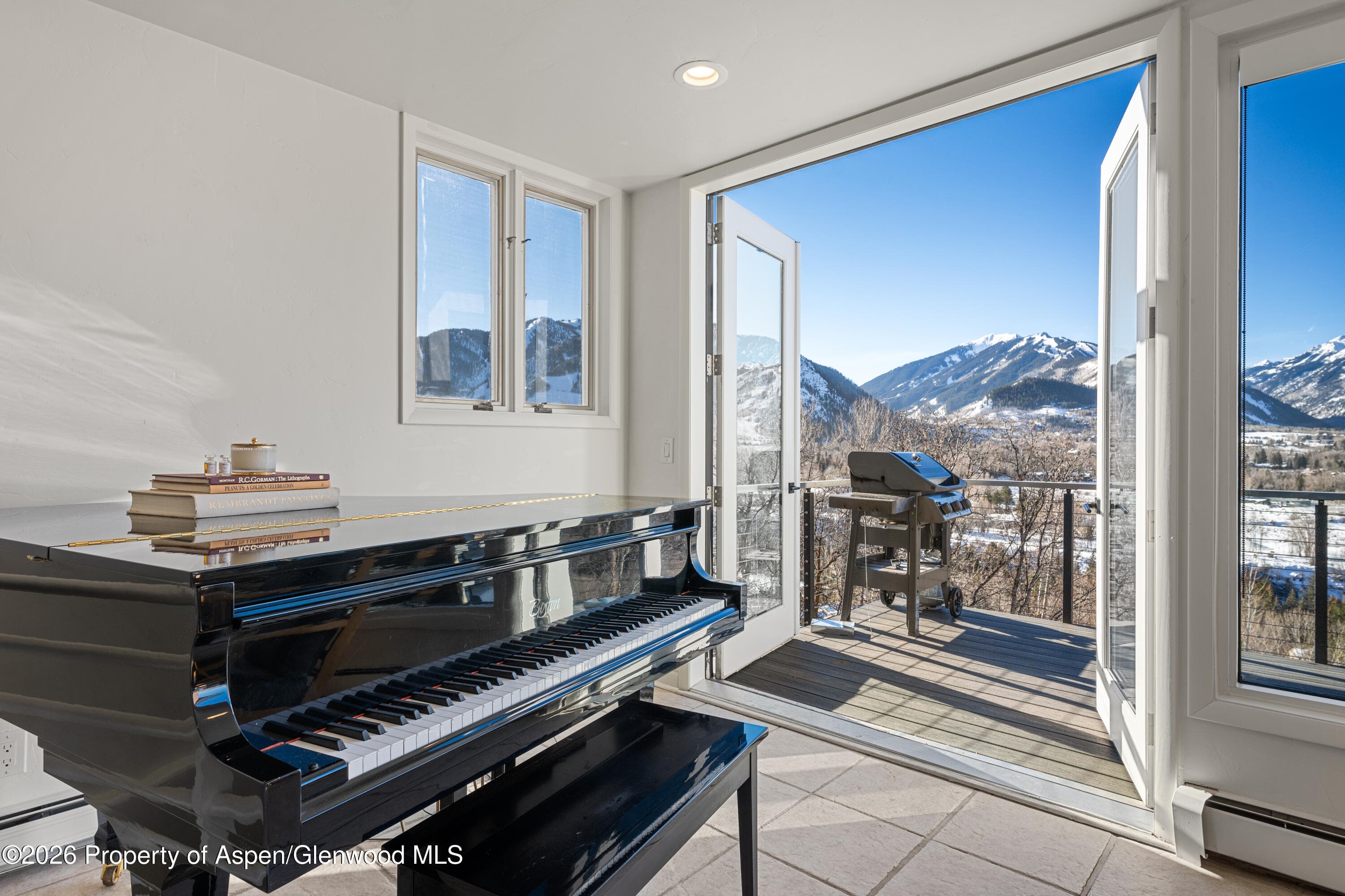 182 Bennett Place, Aspen, CO 81611 - Photo 12