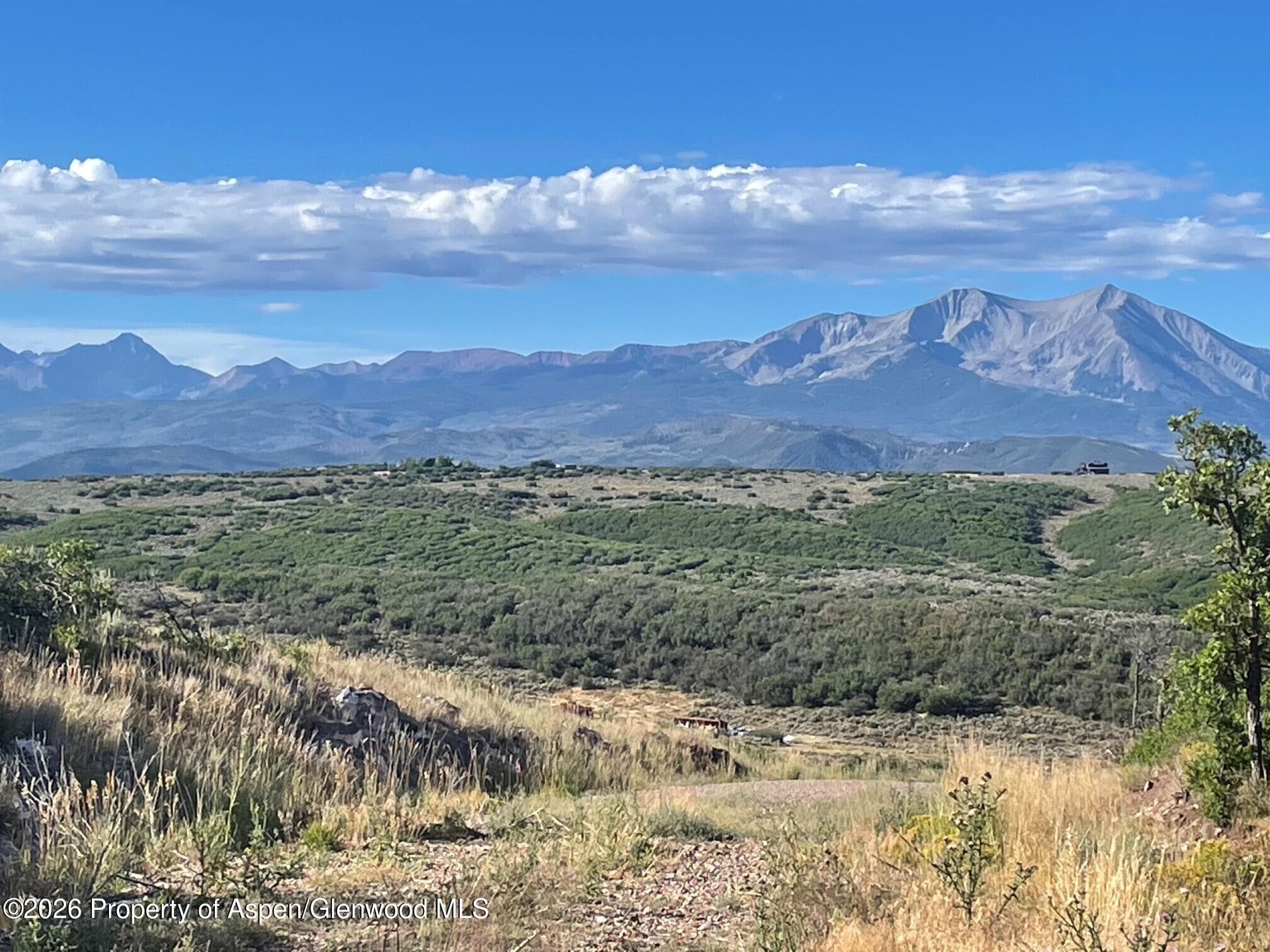 380 Ten Peaks Mesa Road, Carbondale, CO 81623 - Photo 2