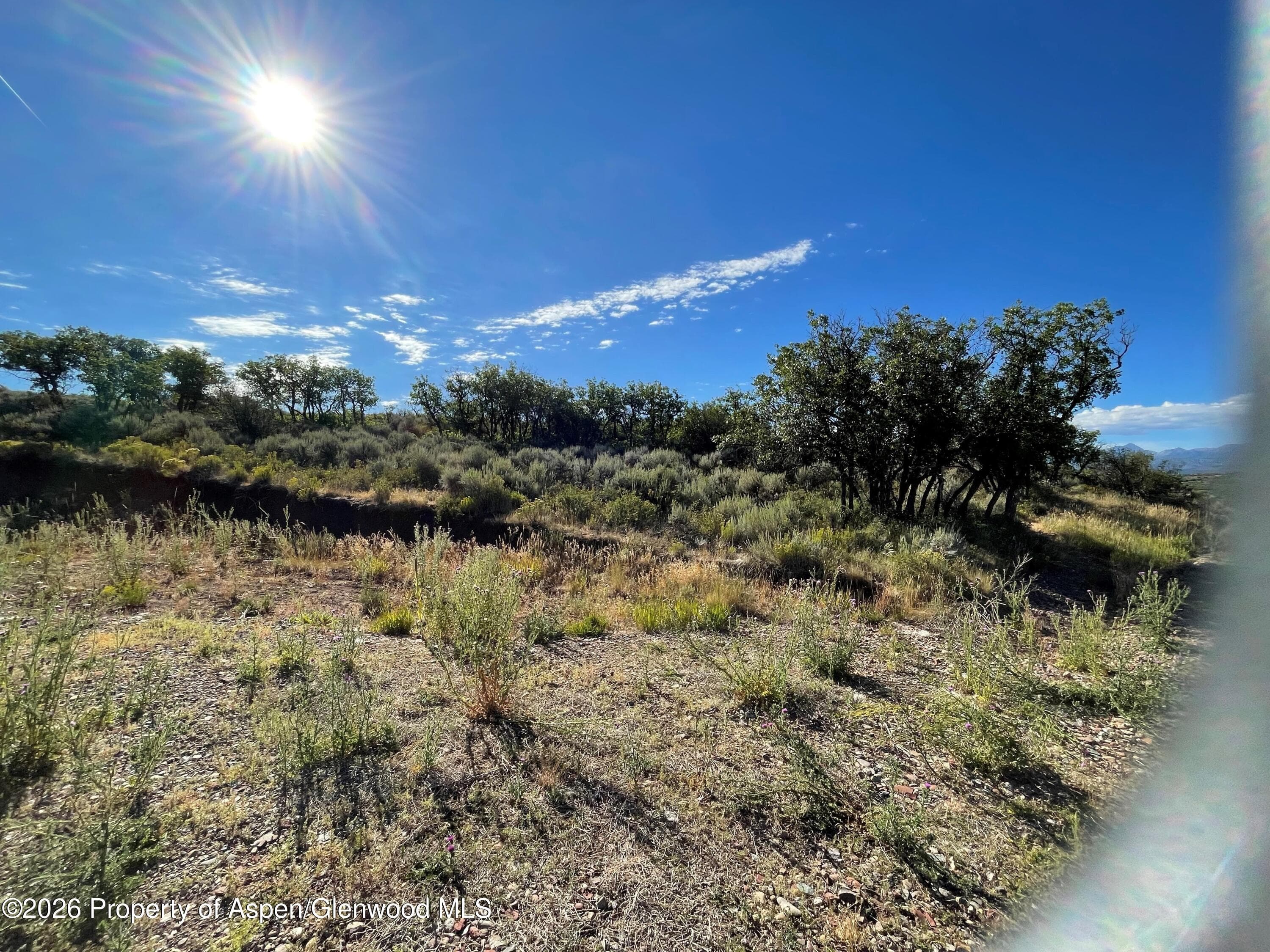 380 Ten Peaks Mesa Road, Carbondale, CO 81623 - Photo 10