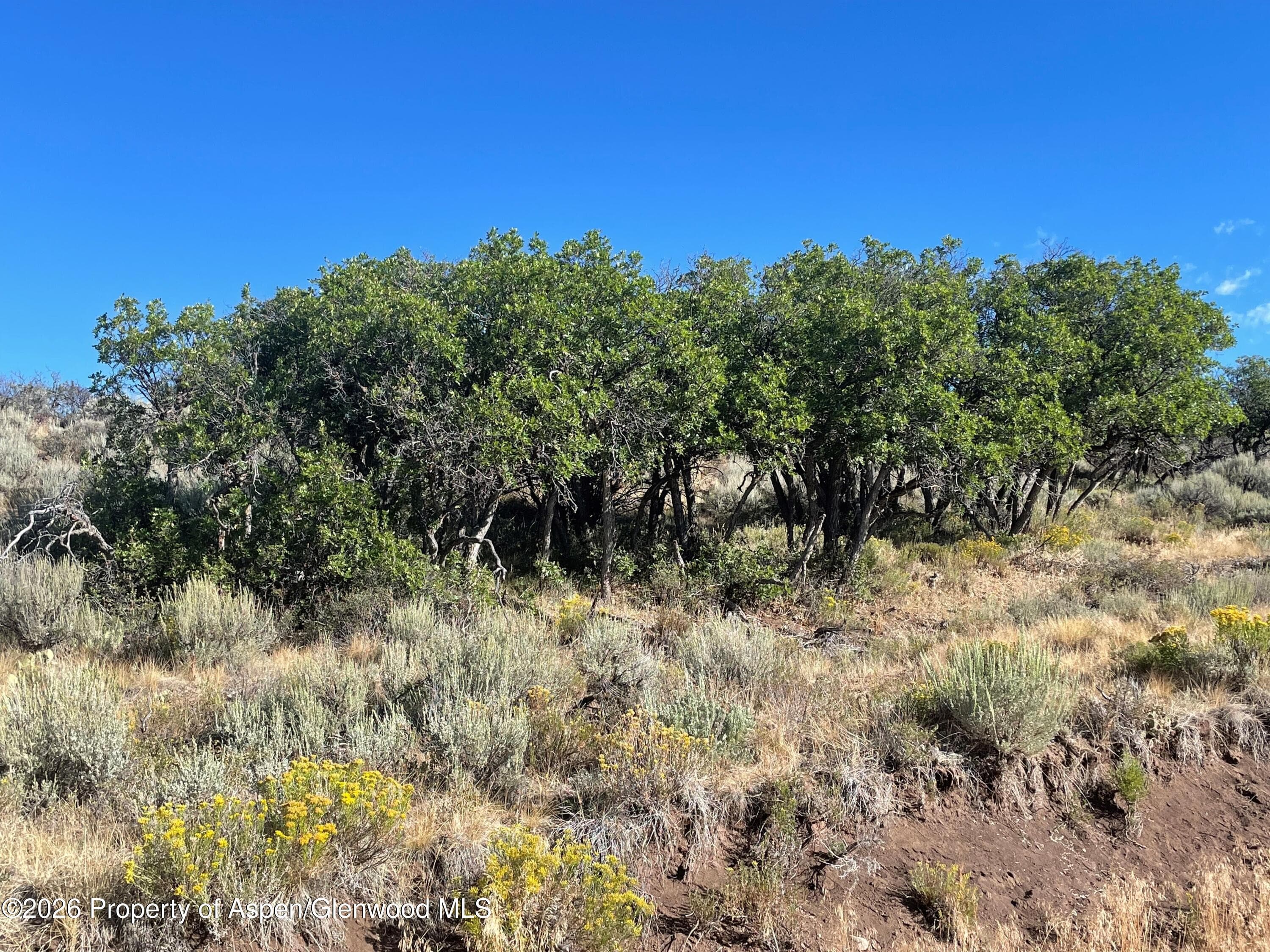 380 Ten Peaks Mesa Road, Carbondale, CO 81623 - Photo 11