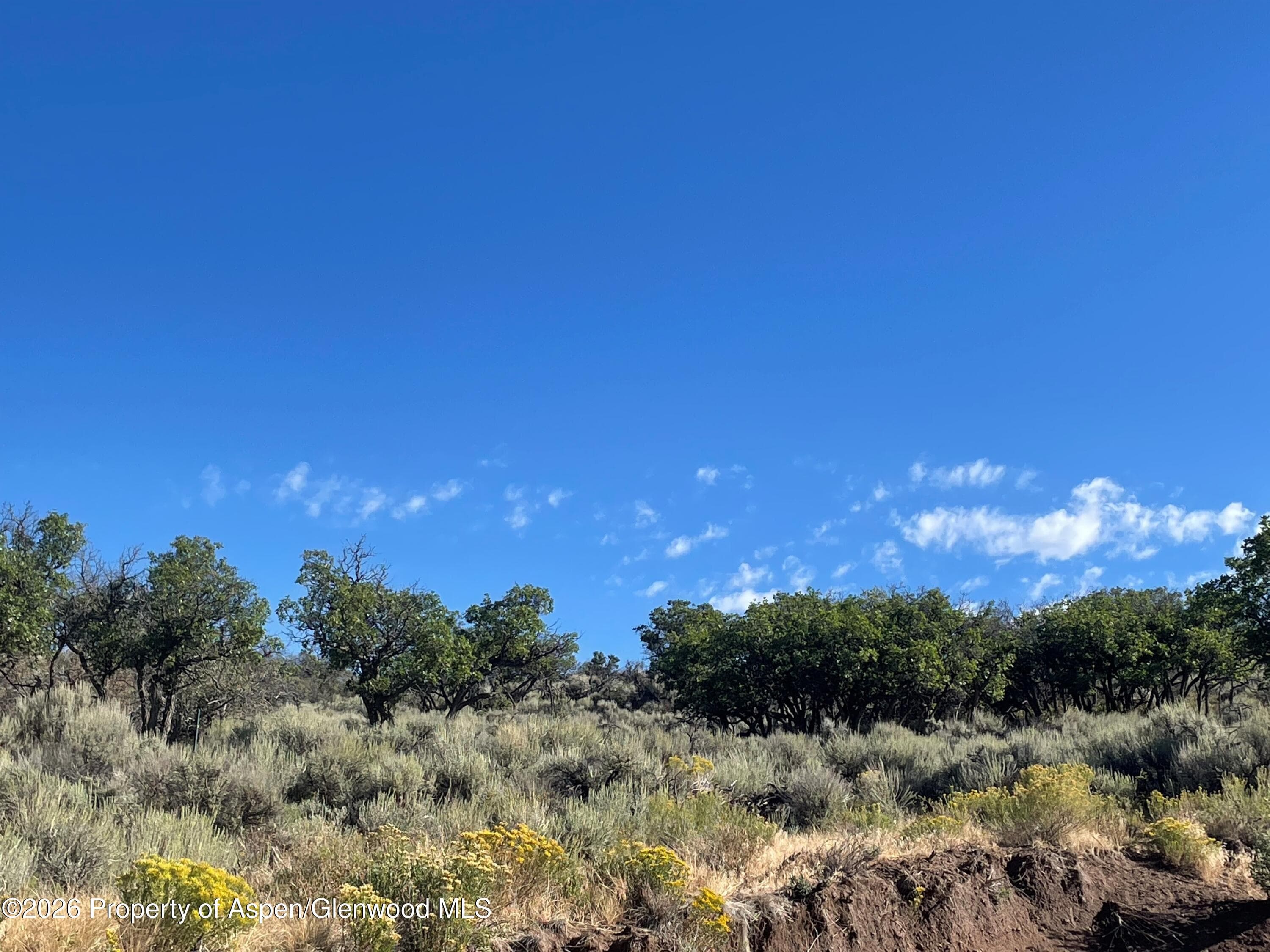 380 Ten Peaks Mesa Road, Carbondale, CO 81623 - Photo 13