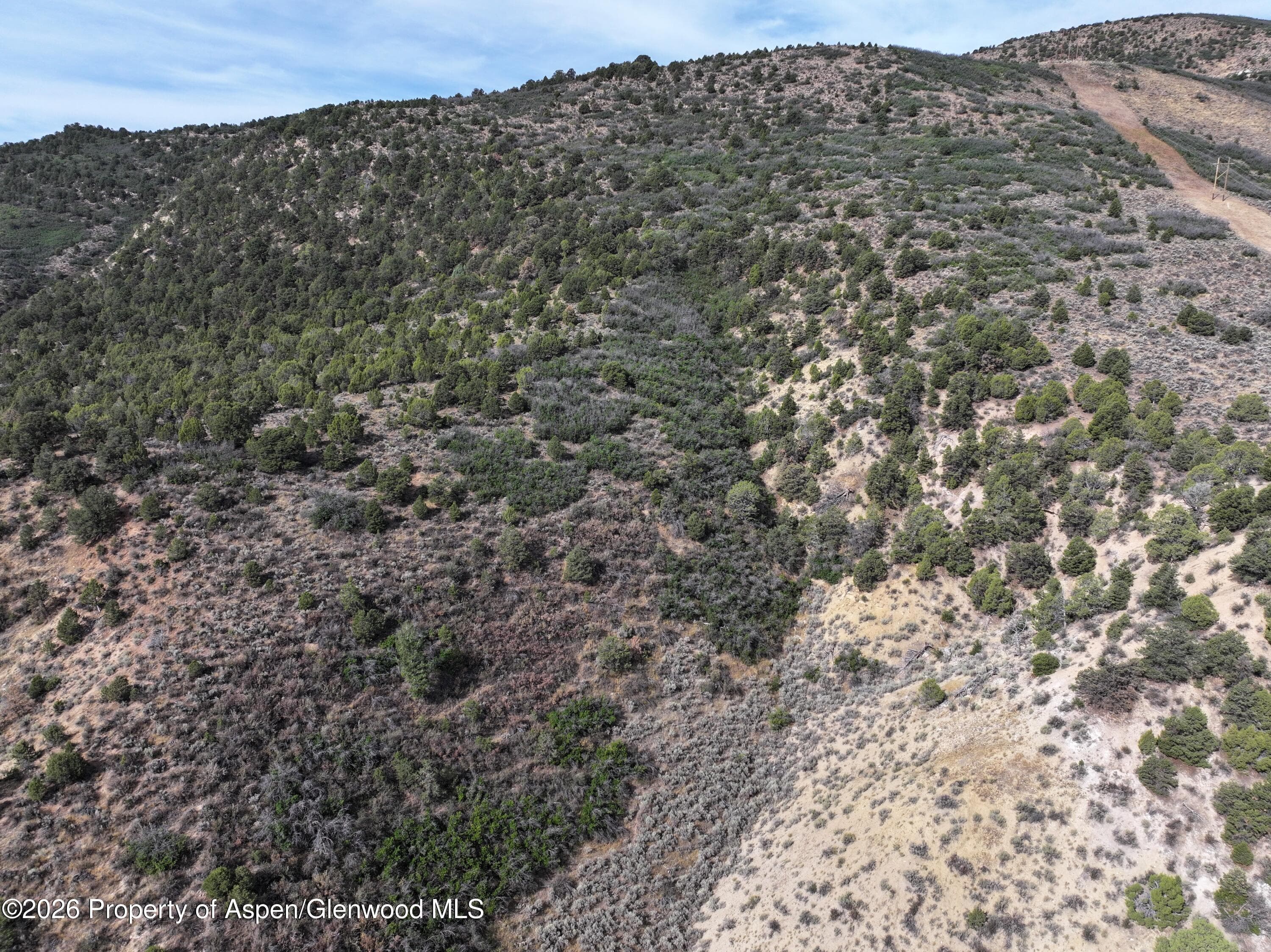 Tbd County Road 11, Meeker, CO 81641 - Photo 13