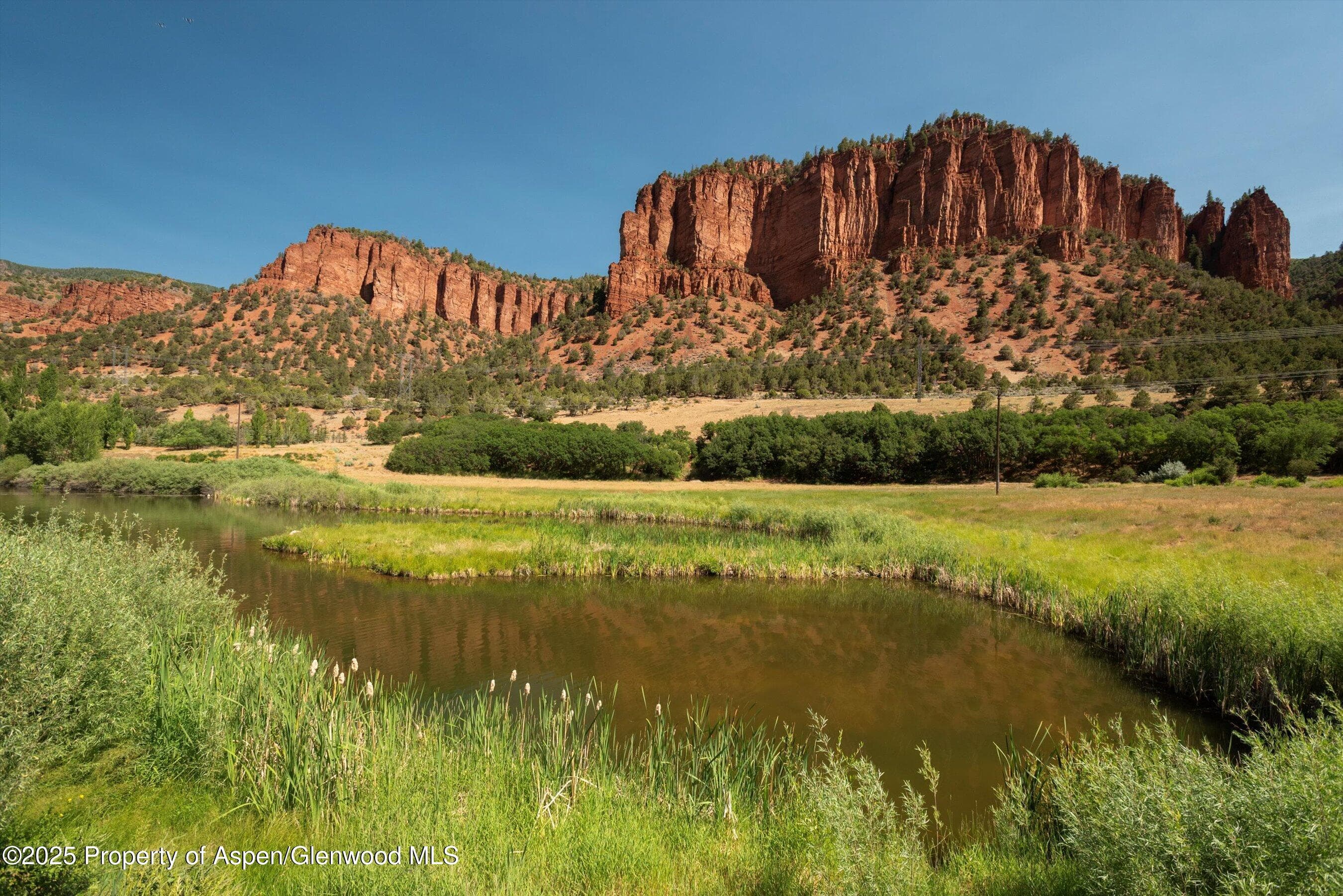 5045 Frying Pan Road, Basalt, CO 81621 - Photo 9