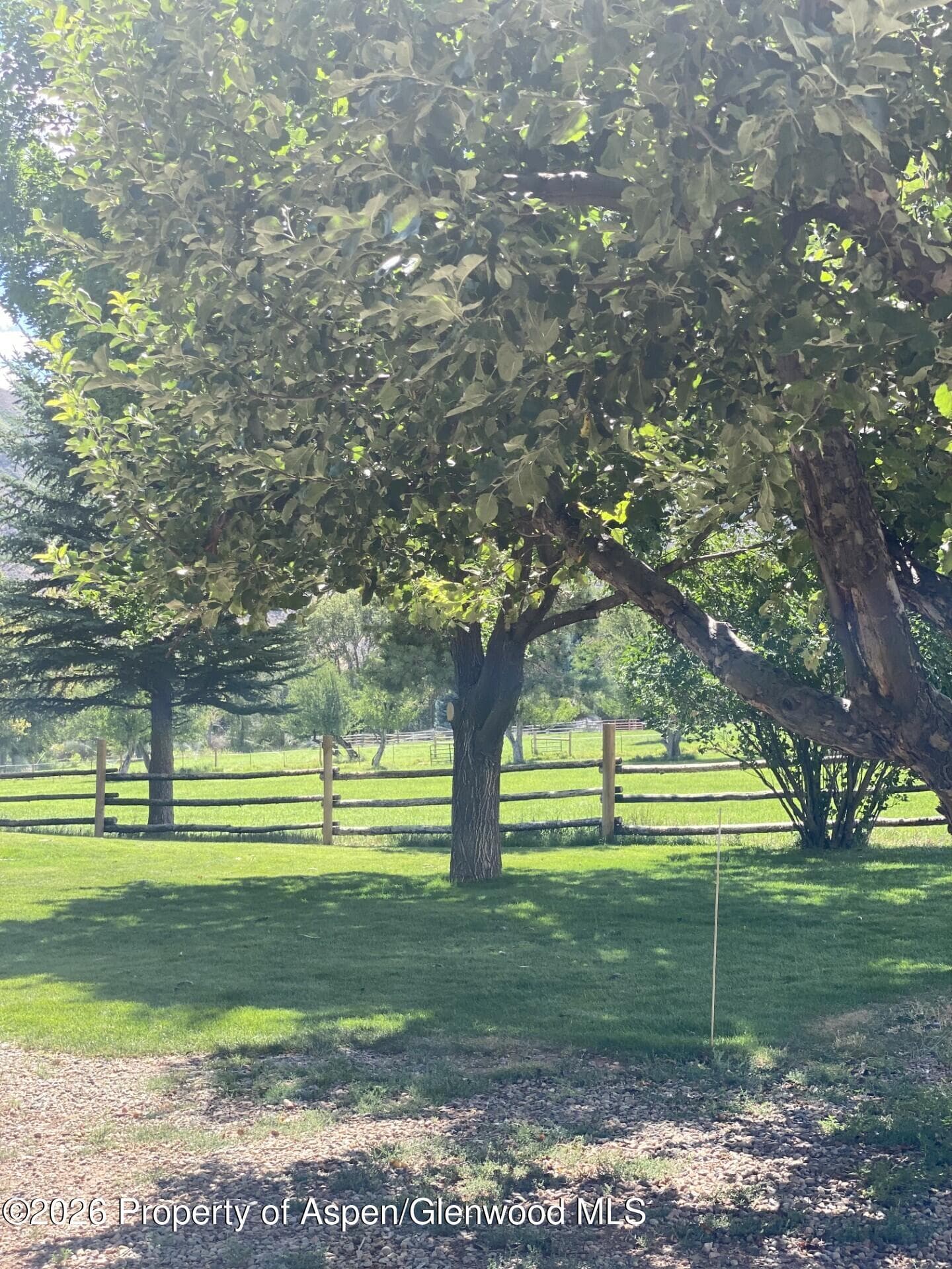 1517 County Road 240, New Castle, CO 81647 - Photo 16