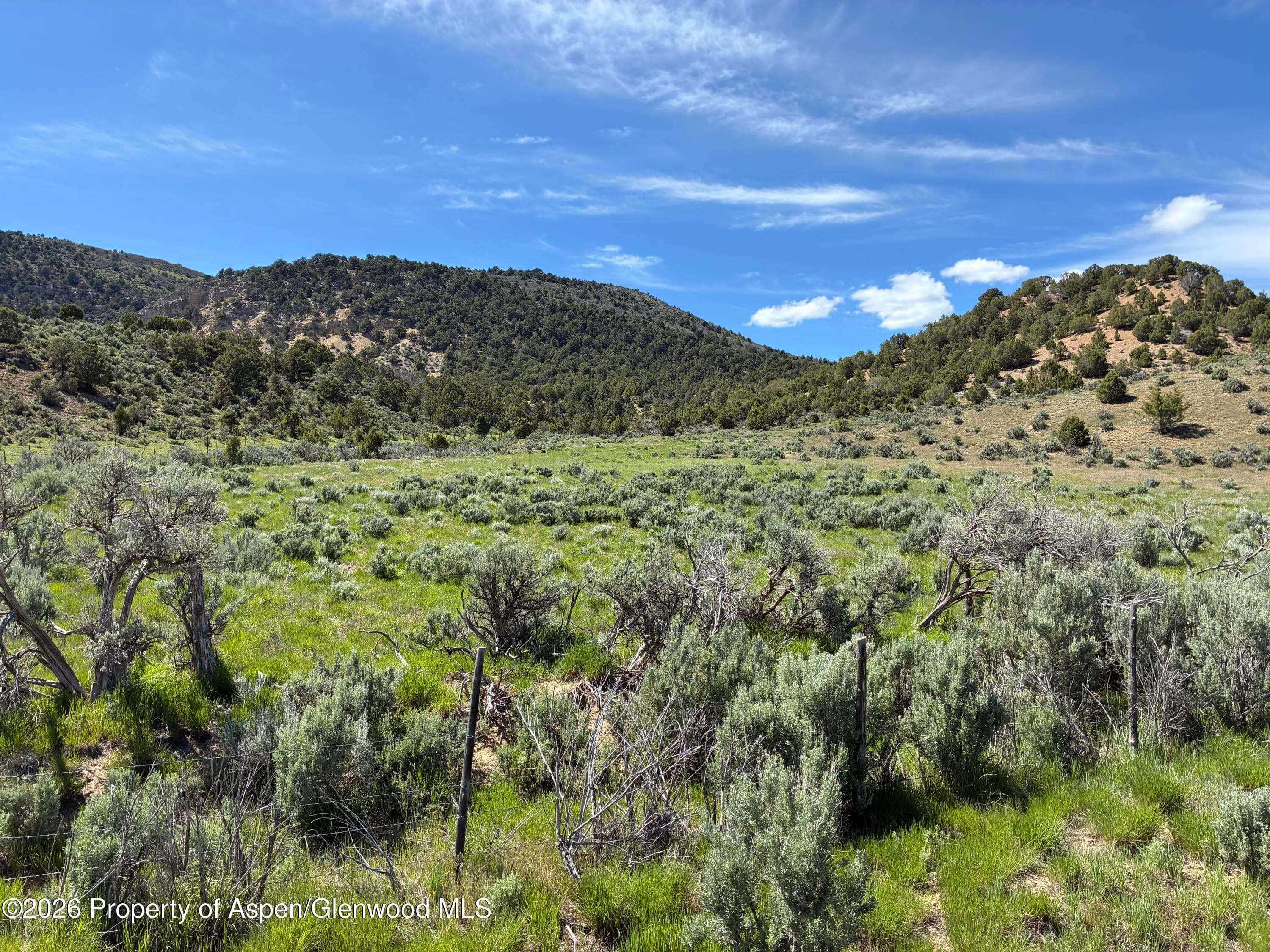 Tbd County Road 11, Meeker, CO 81641 - Photo 2