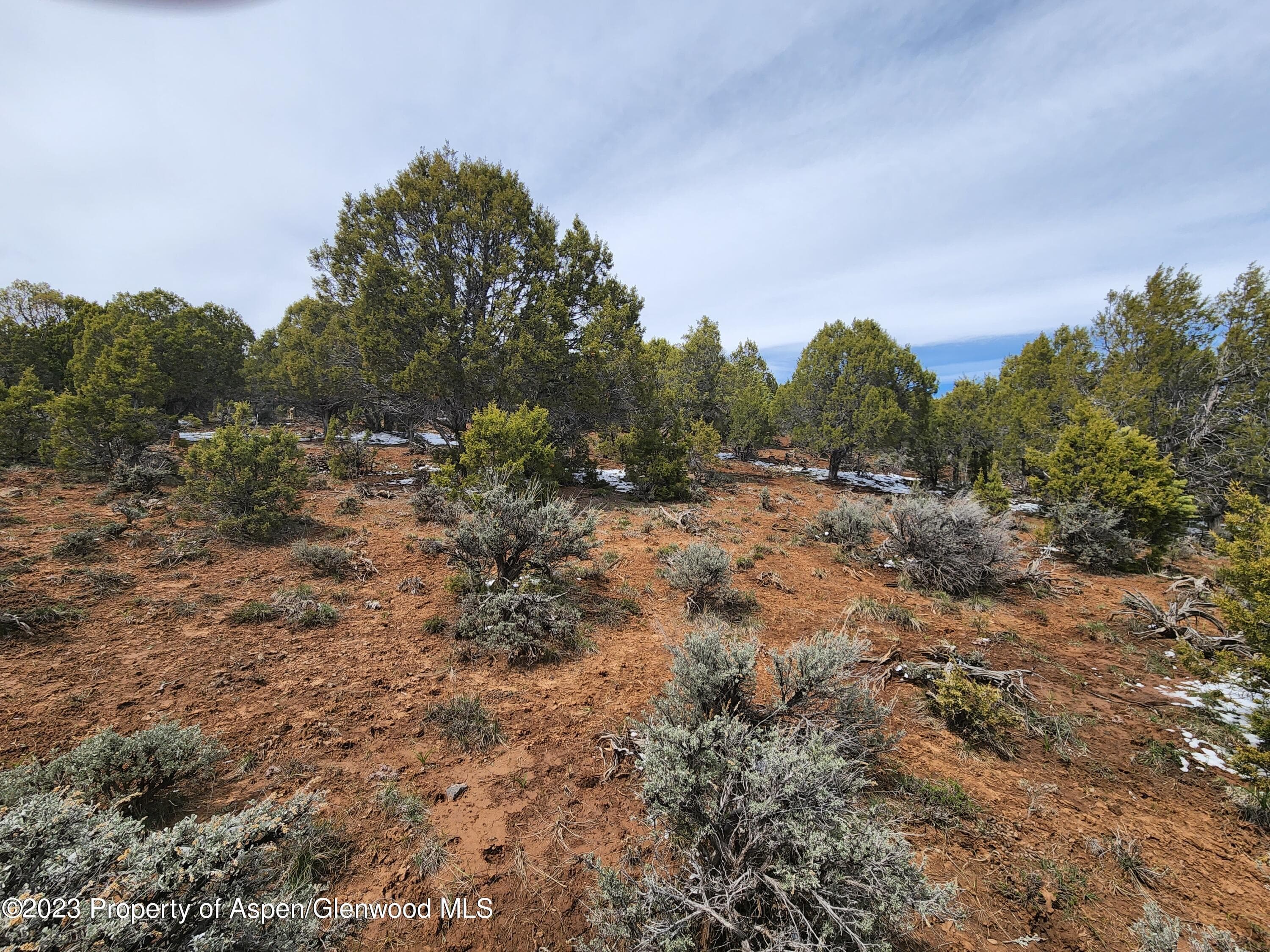 209 Crescent Lane, Glenwood Springs, CO 81601 - Photo 4