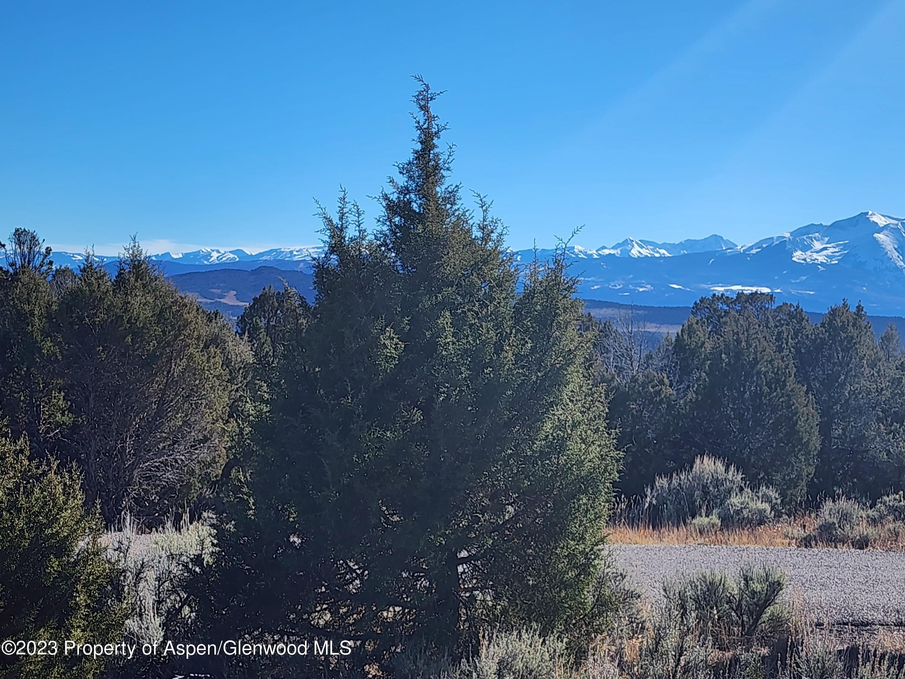 209 Crescent Lane, Glenwood Springs, CO 81601 - Photo 3