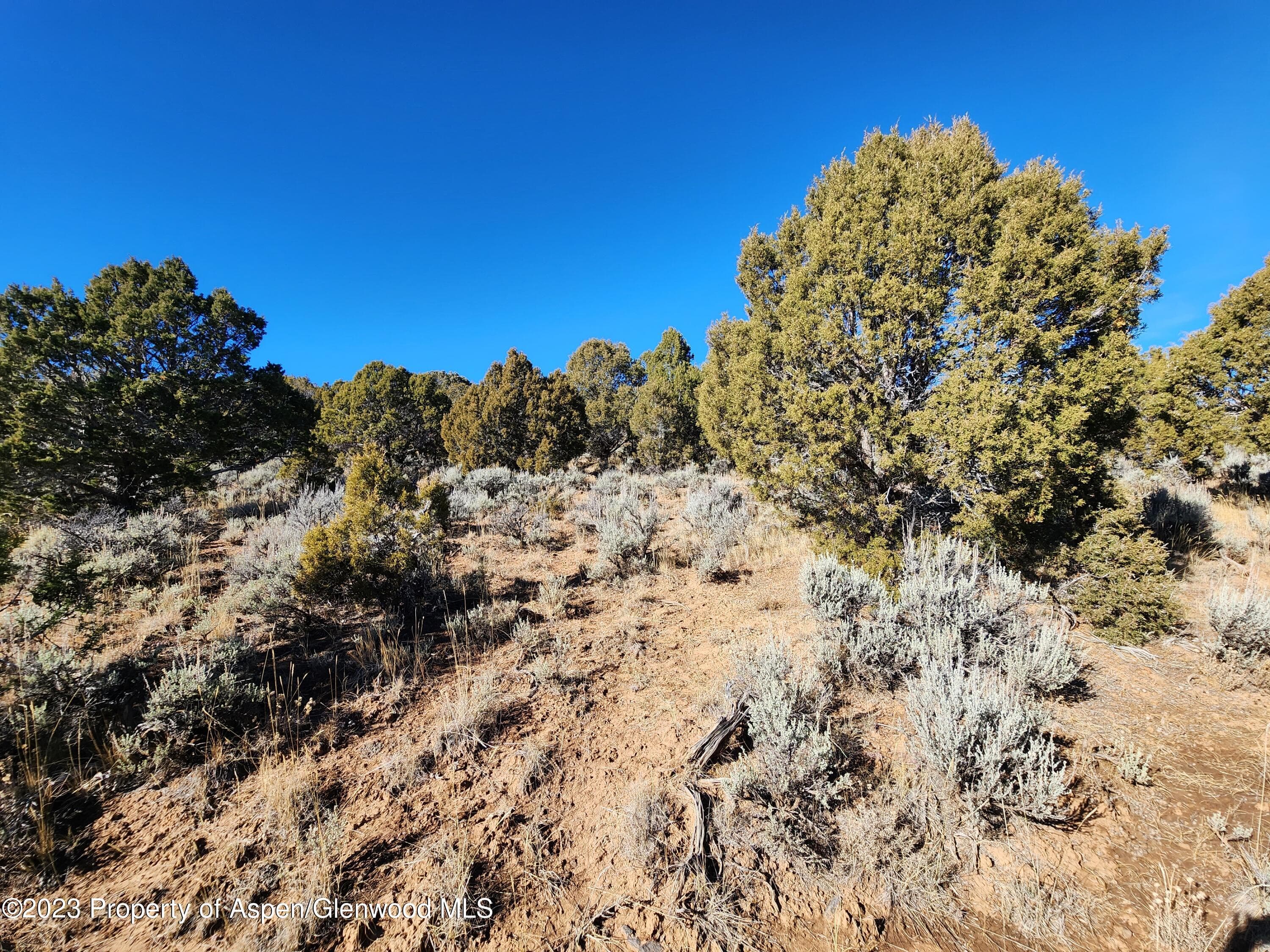 209 Crescent Lane, Glenwood Springs, CO 81601 - Photo 5