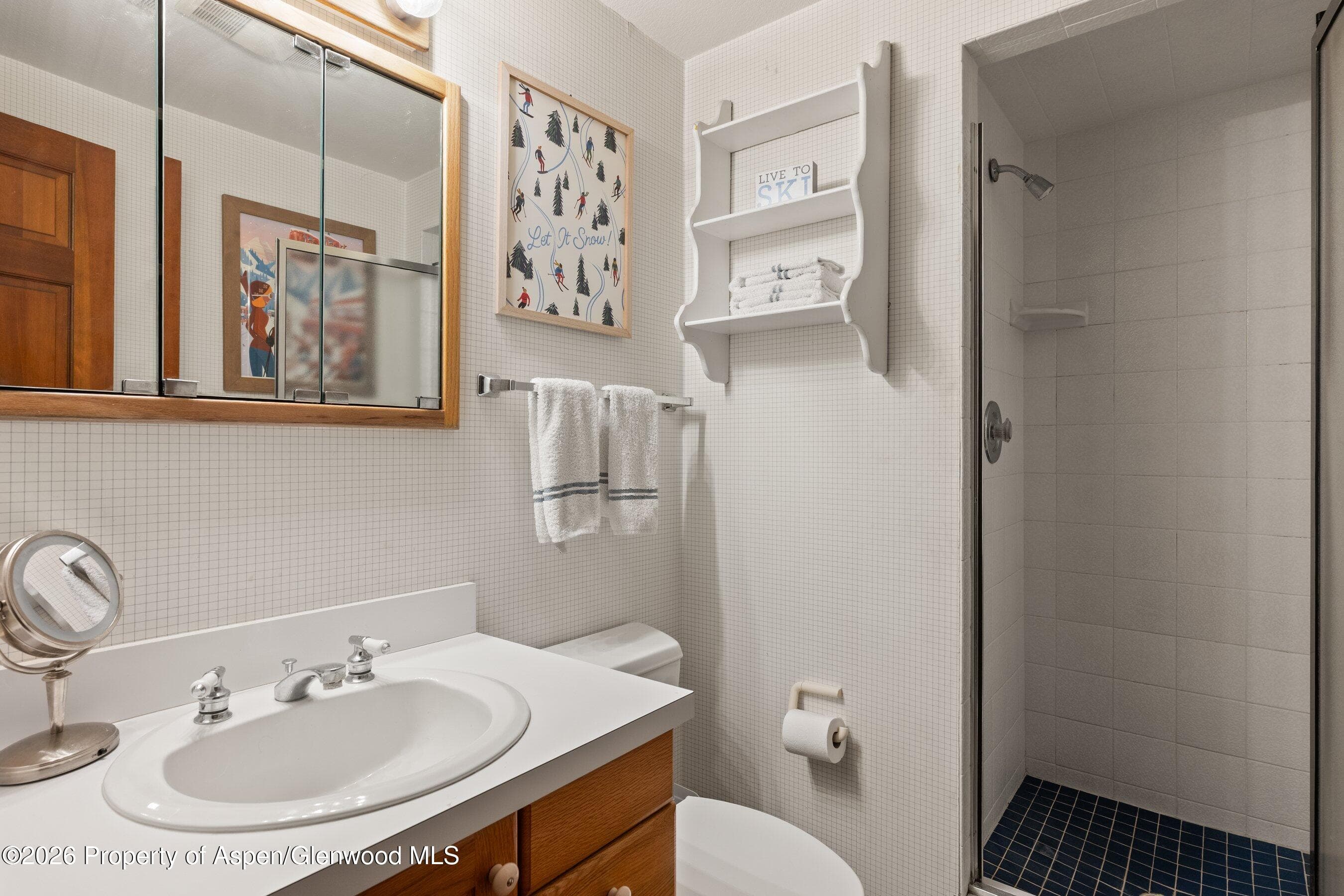 1375 Snowbunny Lane, Aspen, CO 81611 - Photo 14