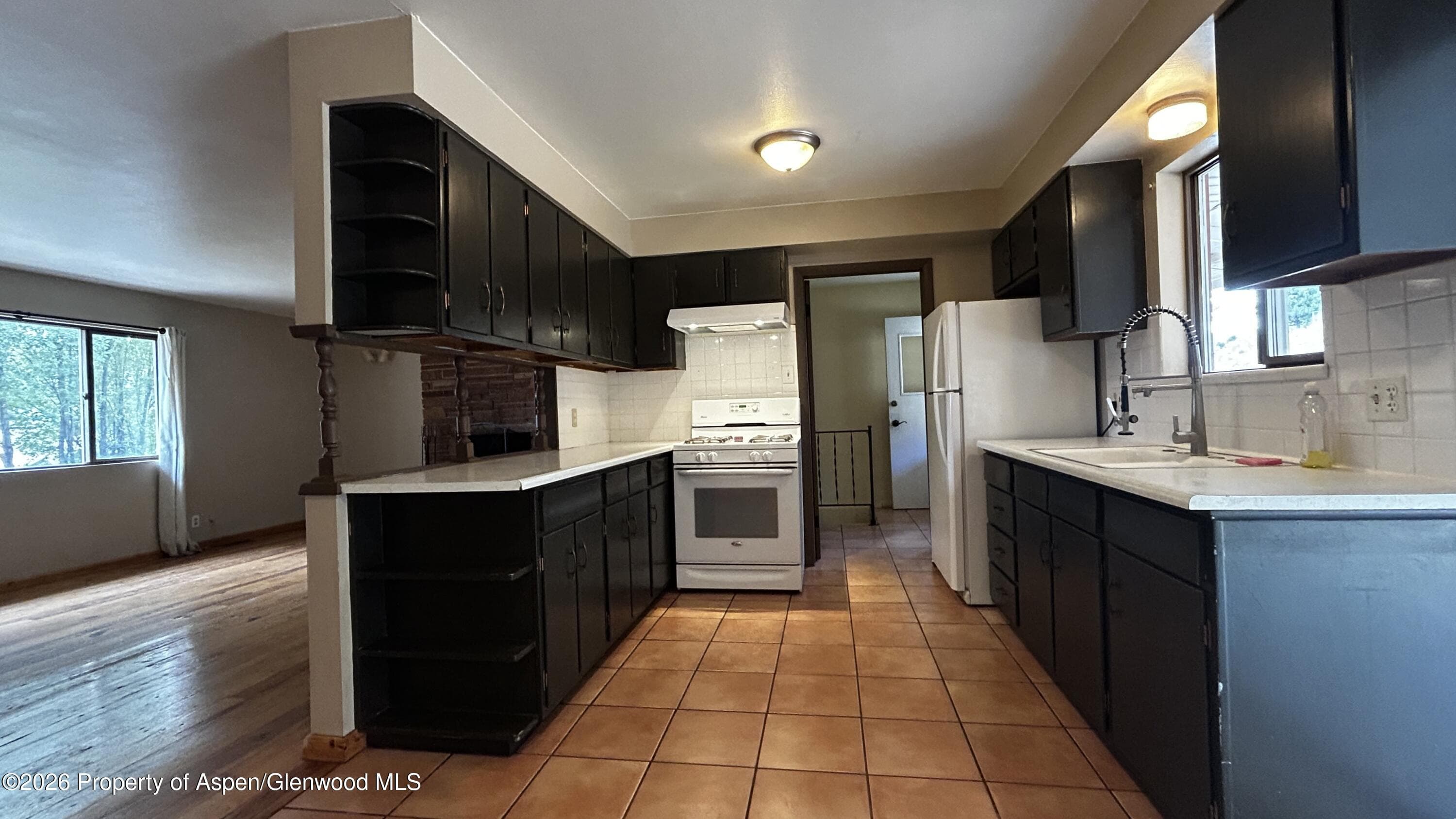 6778 Highway 82, Glenwood Springs, CO 81601 - Photo 19