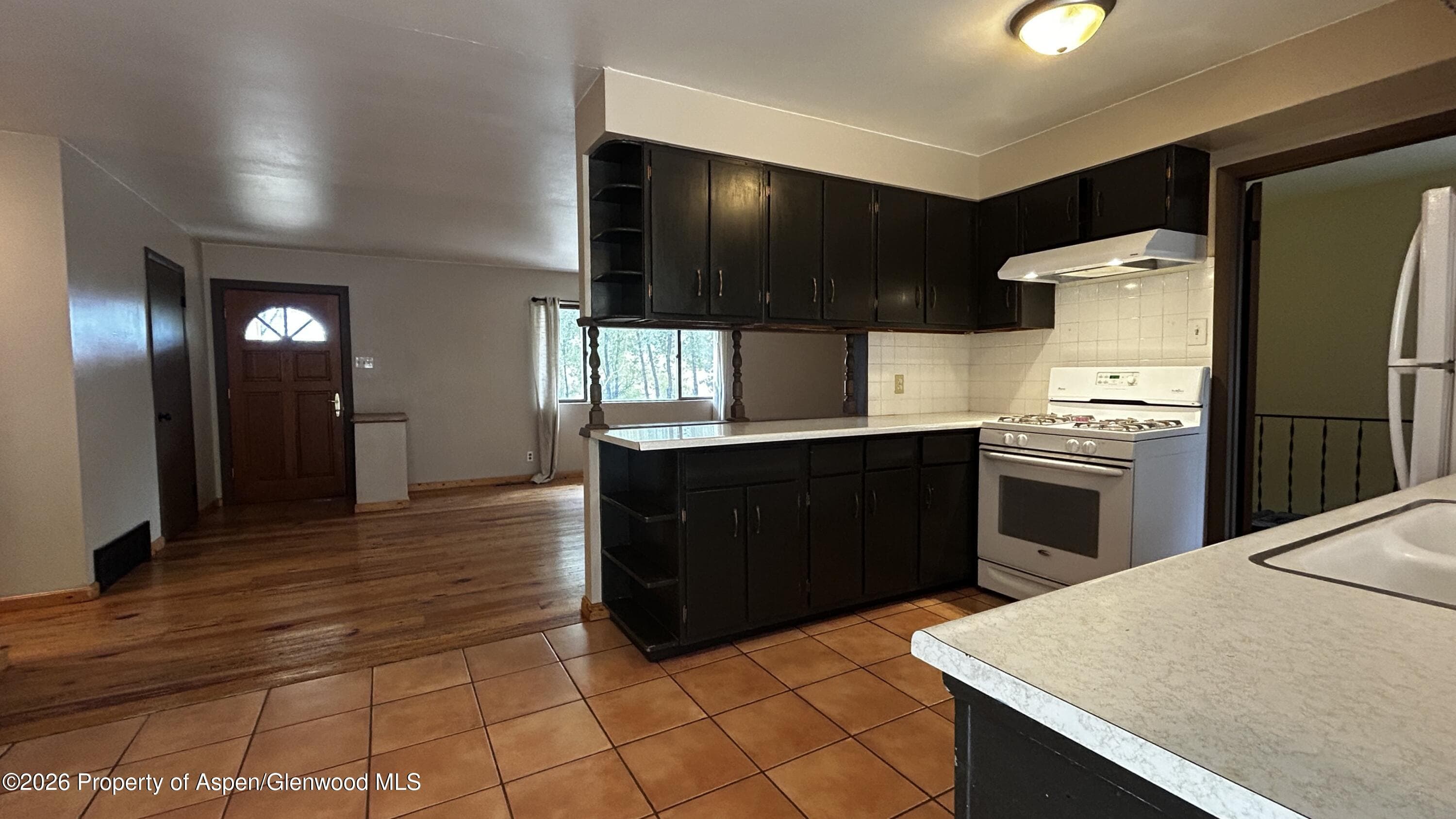 6778 Highway 82, Glenwood Springs, CO 81601 - Photo 20