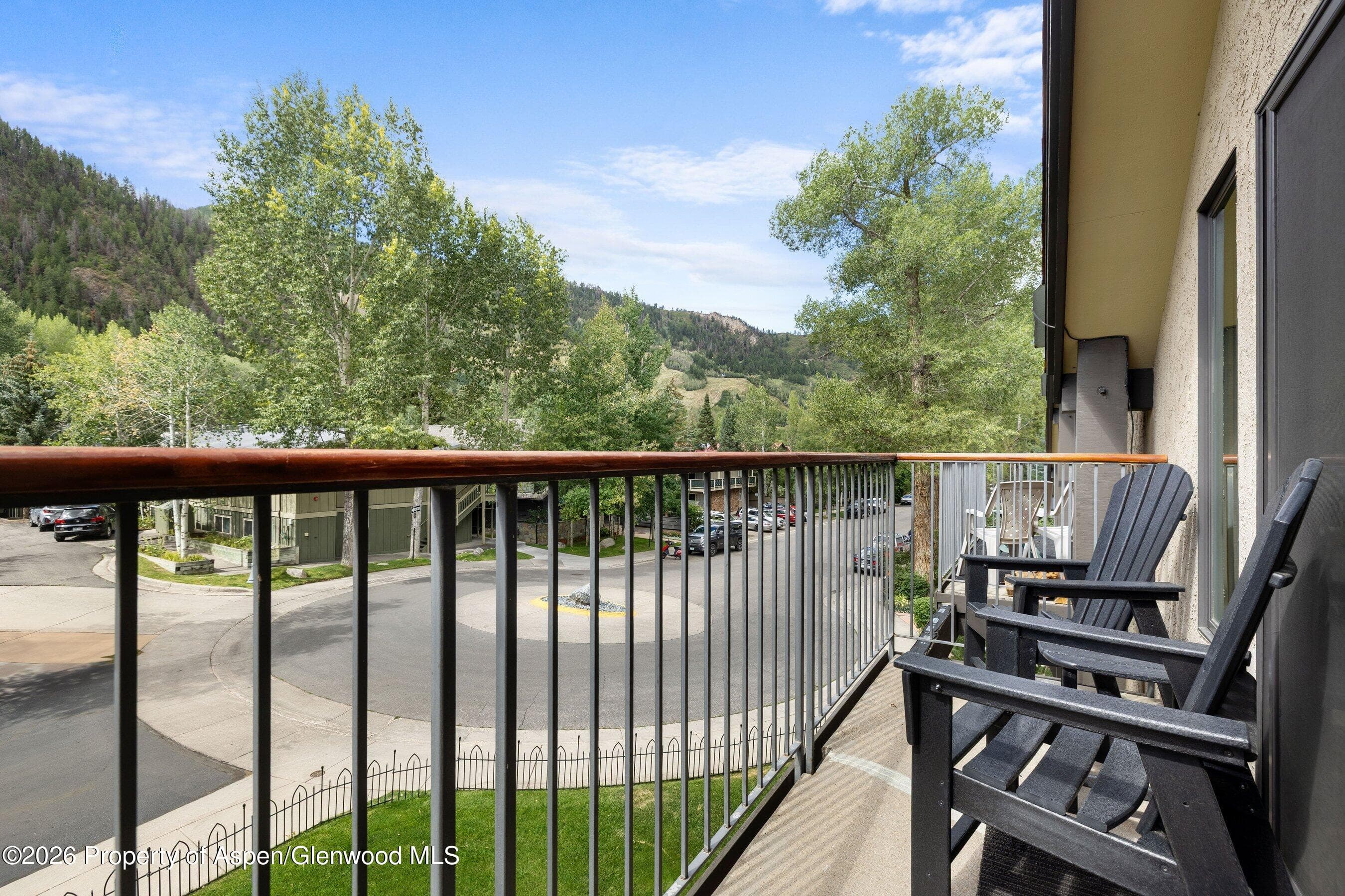 1020 E Durant Avenue 301, Aspen, CO 81611