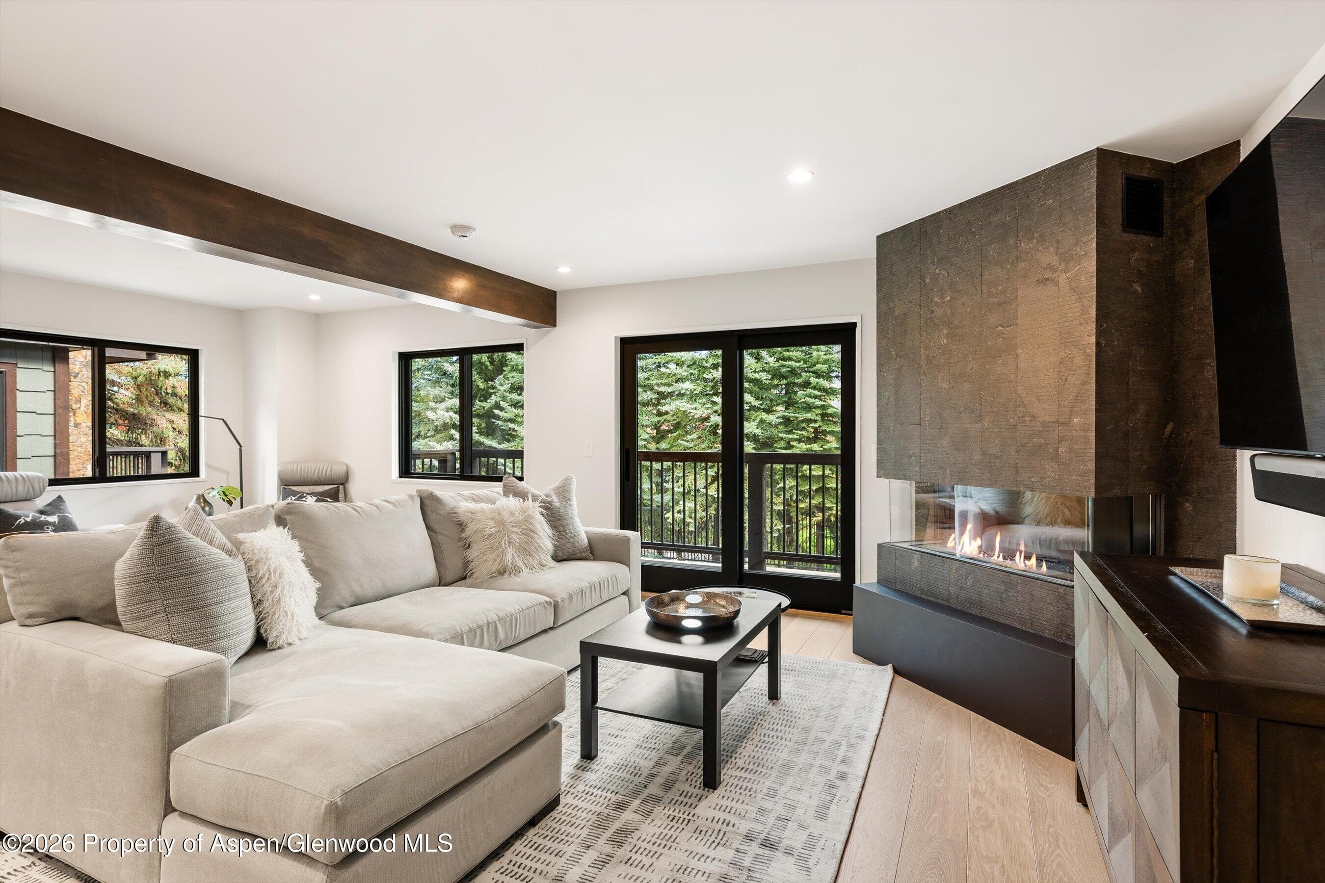 650 S Monarch Street 7, Aspen, CO 81611