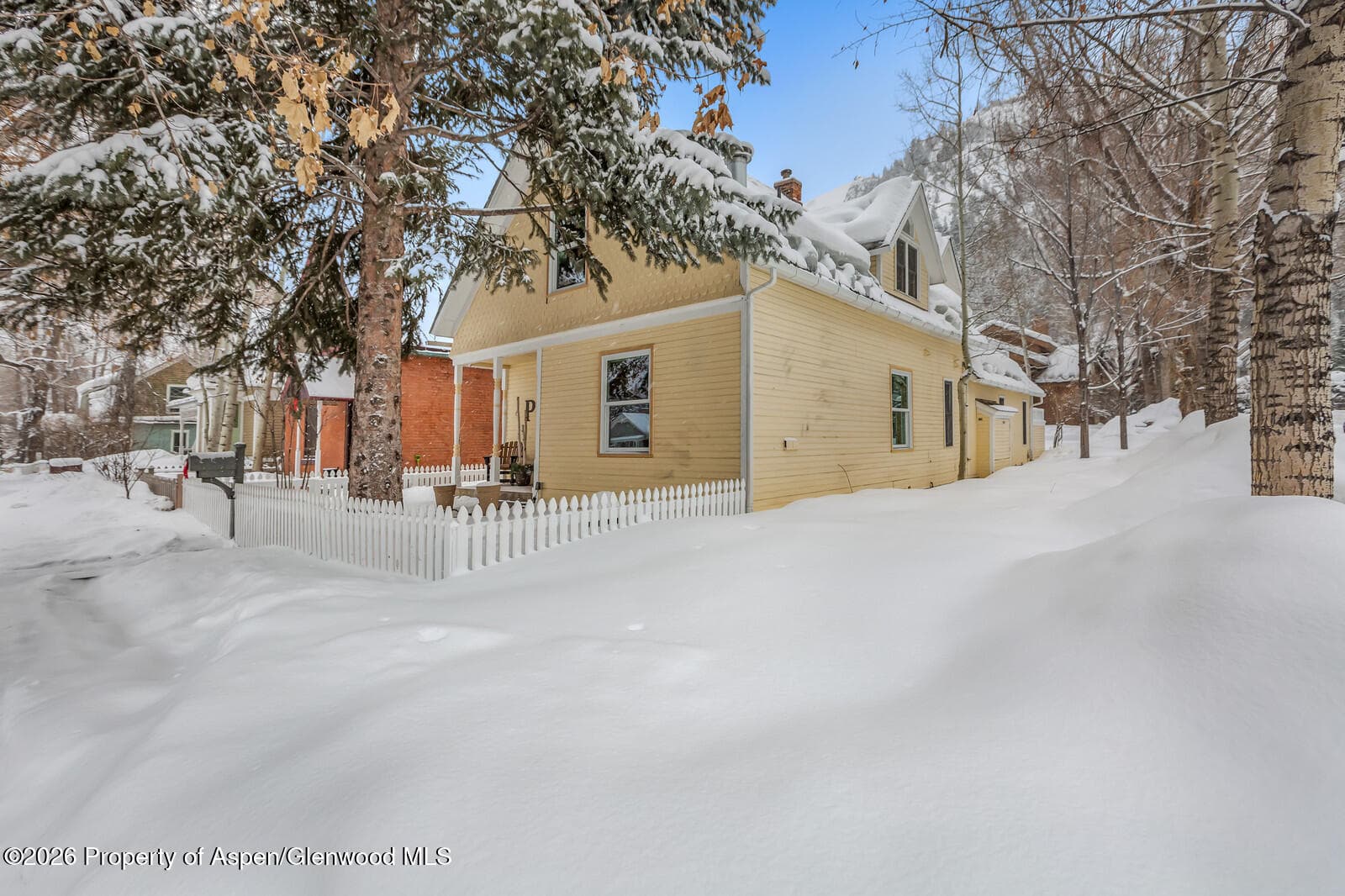 633 W Main Street, Aspen, CO 81611 - Photo 26