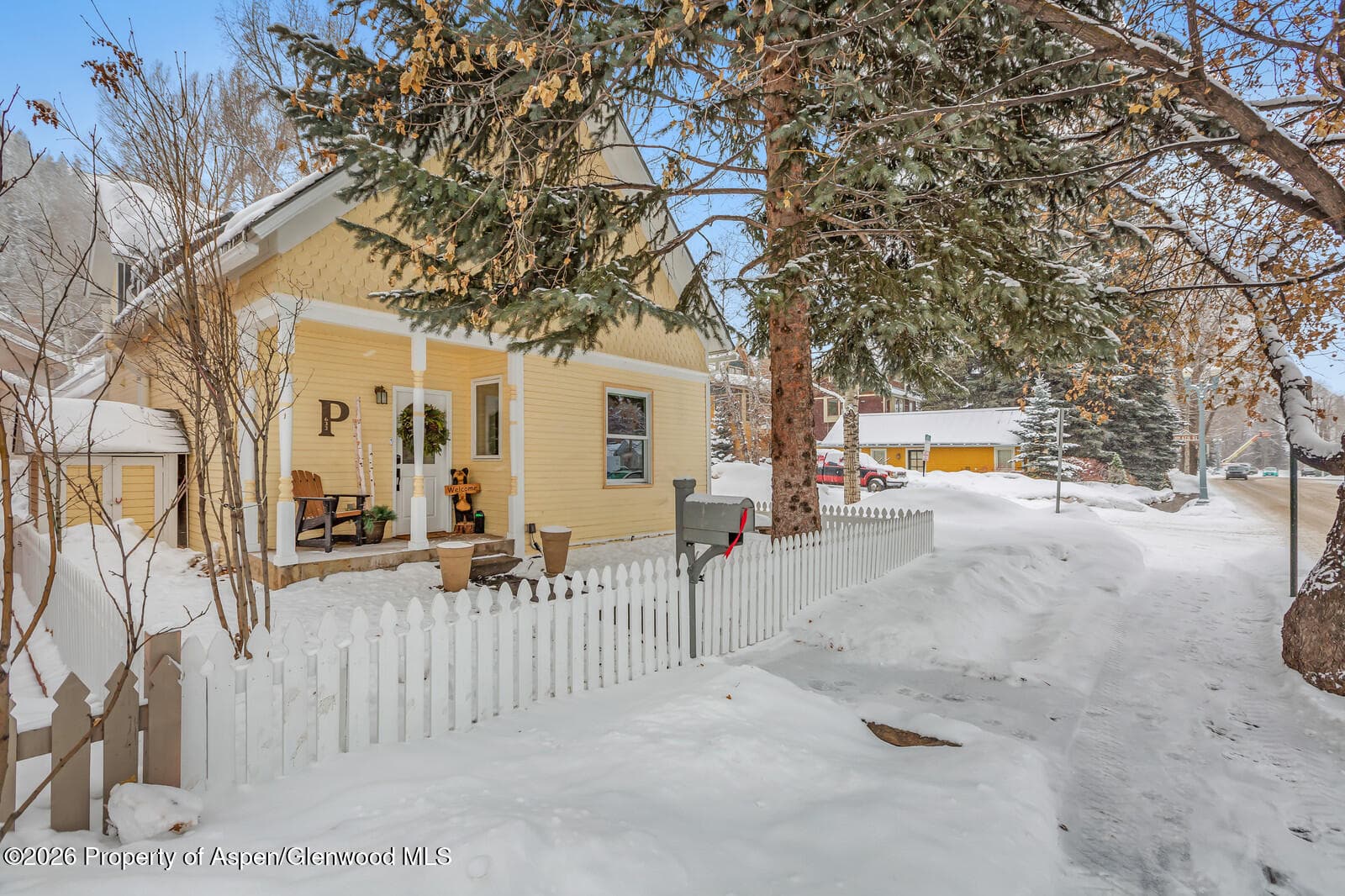633 W Main Street, Aspen, CO 81611 - Photo 27