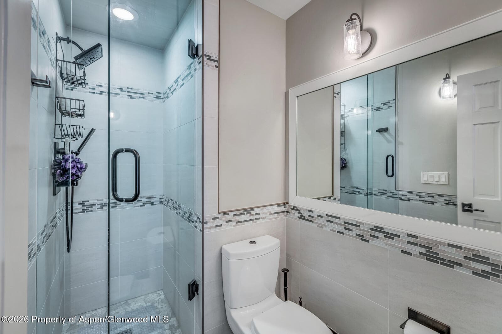 633 W Main Street, Aspen, CO 81611 - Photo 29