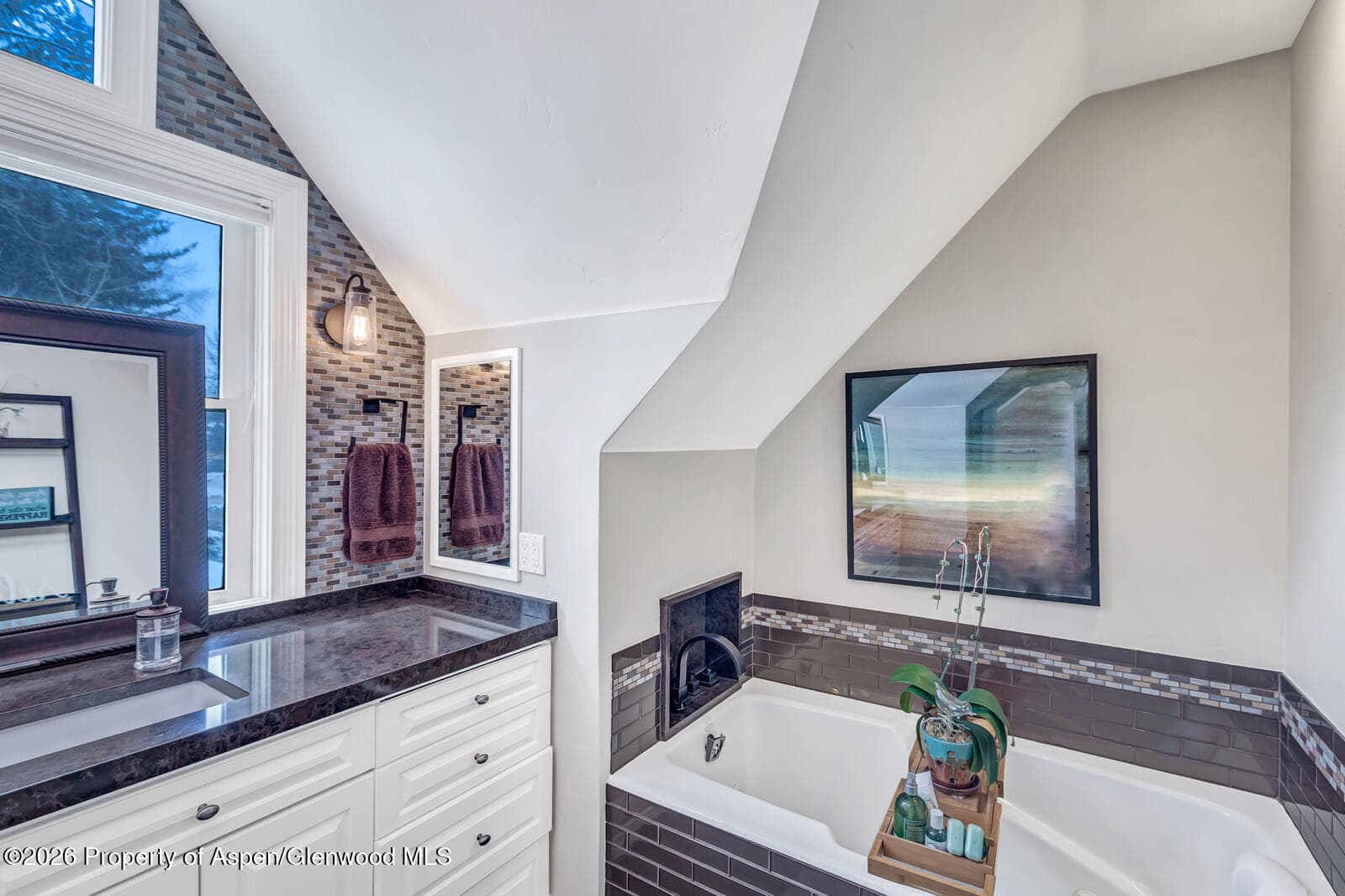 633 W Main Street, Aspen, CO 81611 - Photo 35