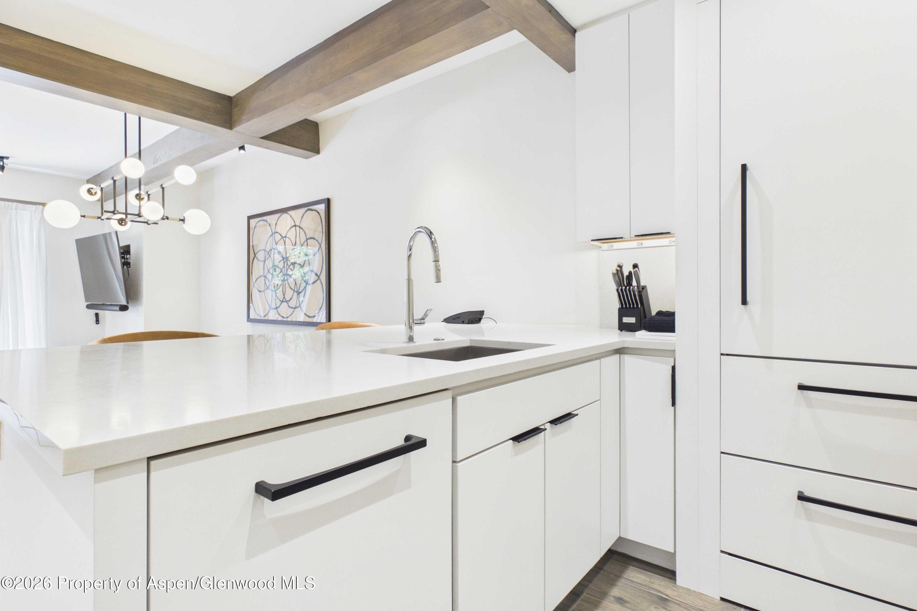 610 S West End Street K203, Aspen, CO 81611