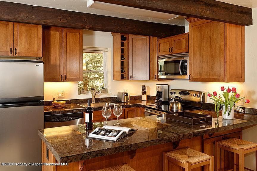 914 Waters Avenue 19, Aspen, CO 81611 - Photo 3