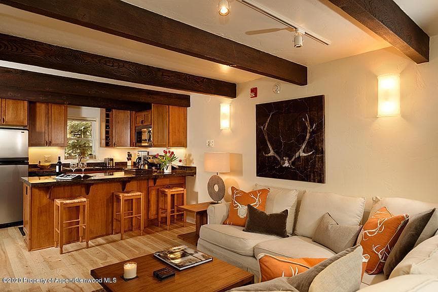 914 Waters Avenue 19, Aspen, CO 81611 - Photo 4