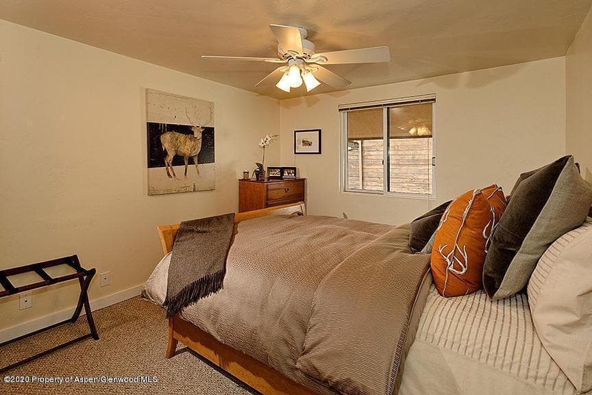 914 Waters Avenue 19, Aspen, CO 81611 - Photo 7