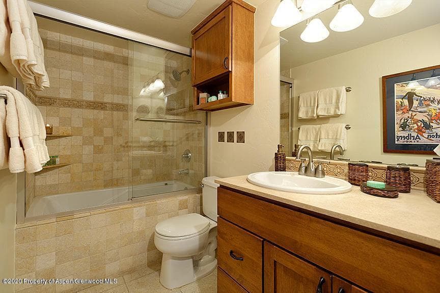 914 Waters Avenue 19, Aspen, CO 81611 - Photo 8