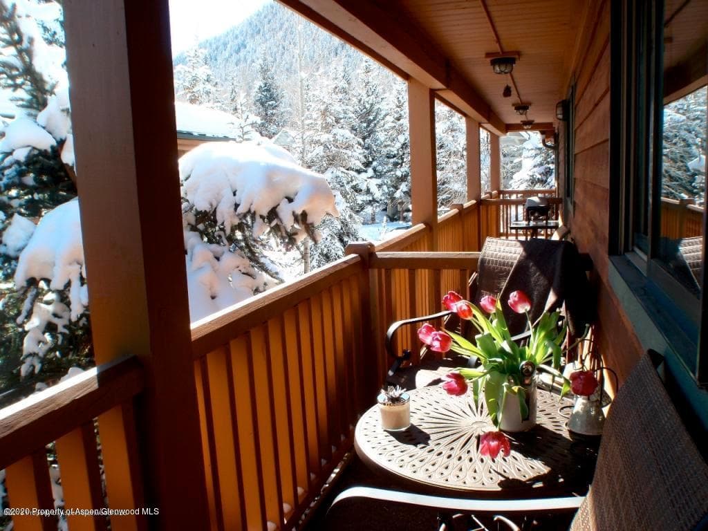 914 Waters Avenue 19, Aspen, CO 81611 - Photo 10