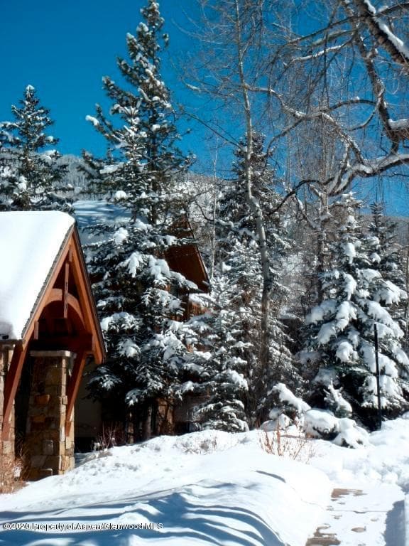 914 Waters Avenue 19, Aspen, CO 81611 - Photo 11