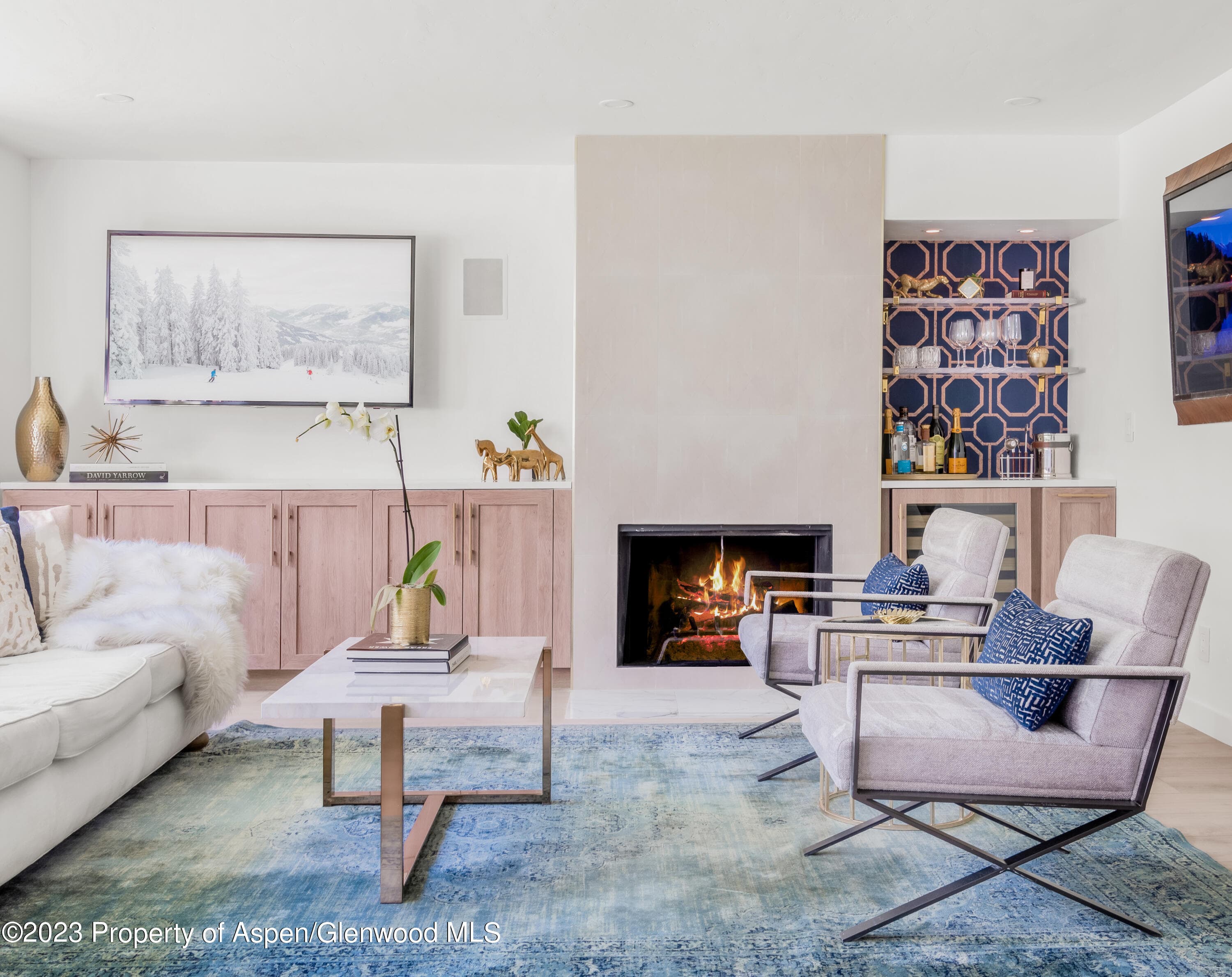1020 E Durant Avenue 101, Aspen, CO 81611