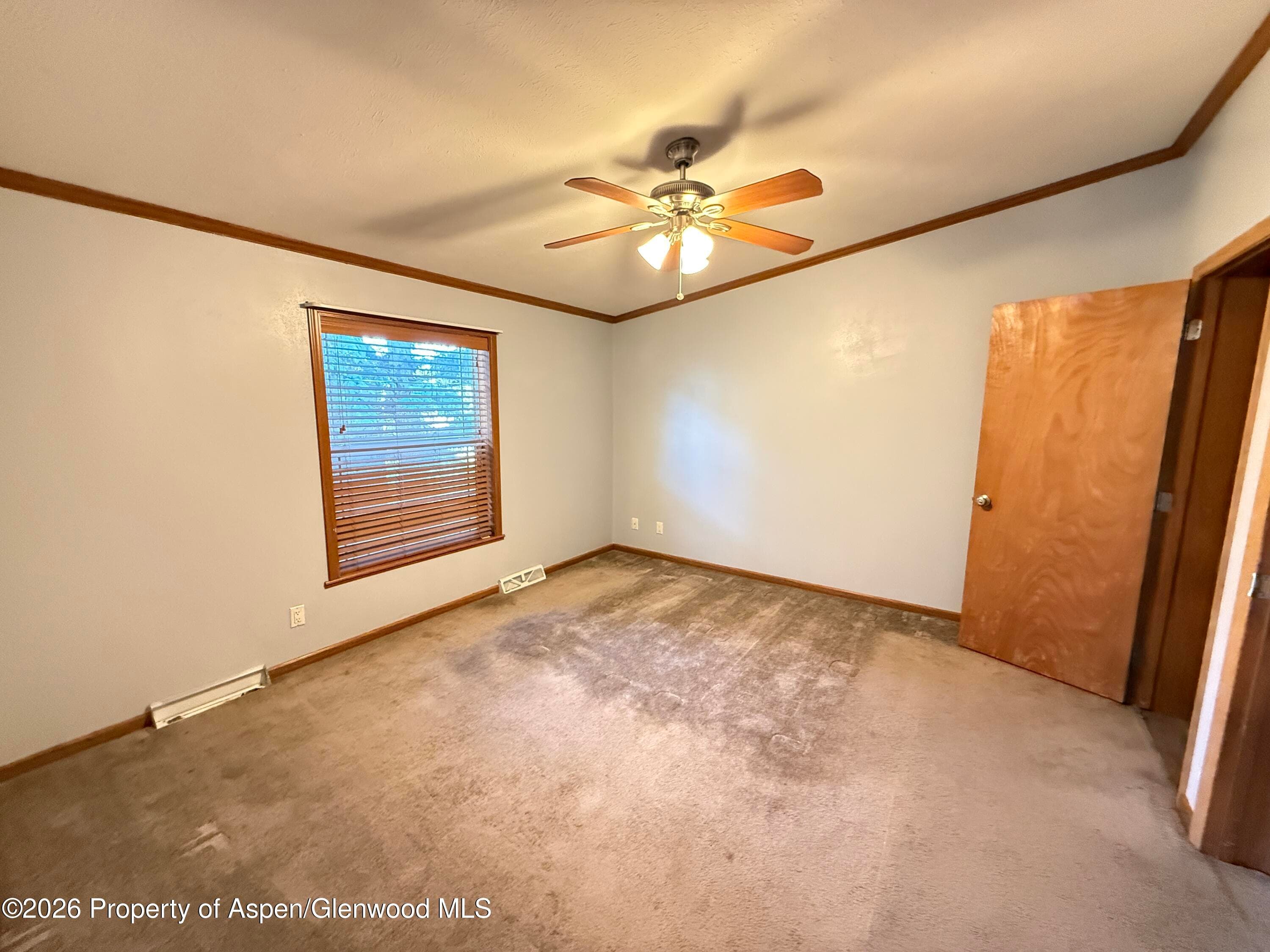 366 S 2nd Street, Hayden, CO 81639 - Photo 11