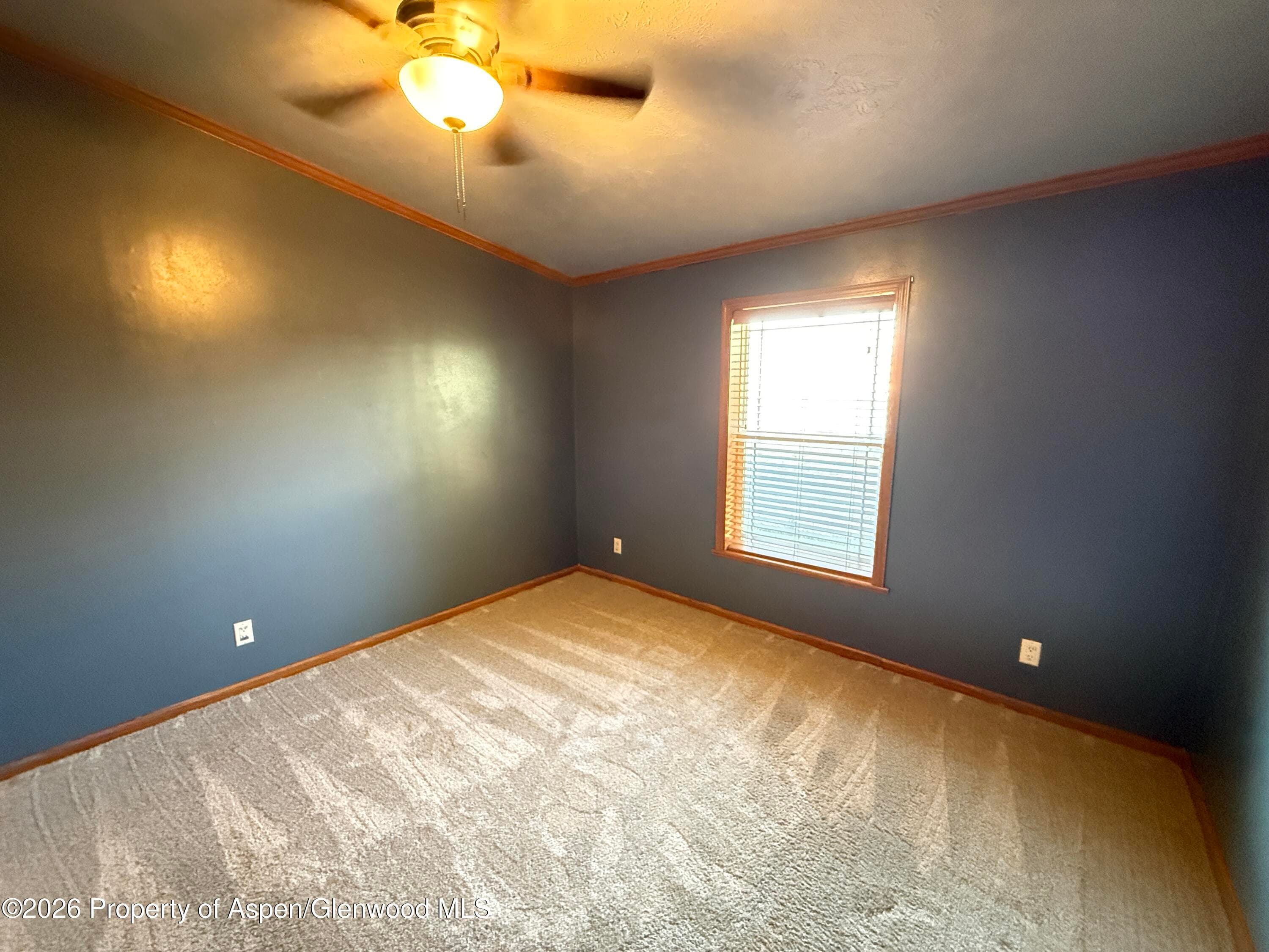 366 S 2nd Street, Hayden, CO 81639 - Photo 16