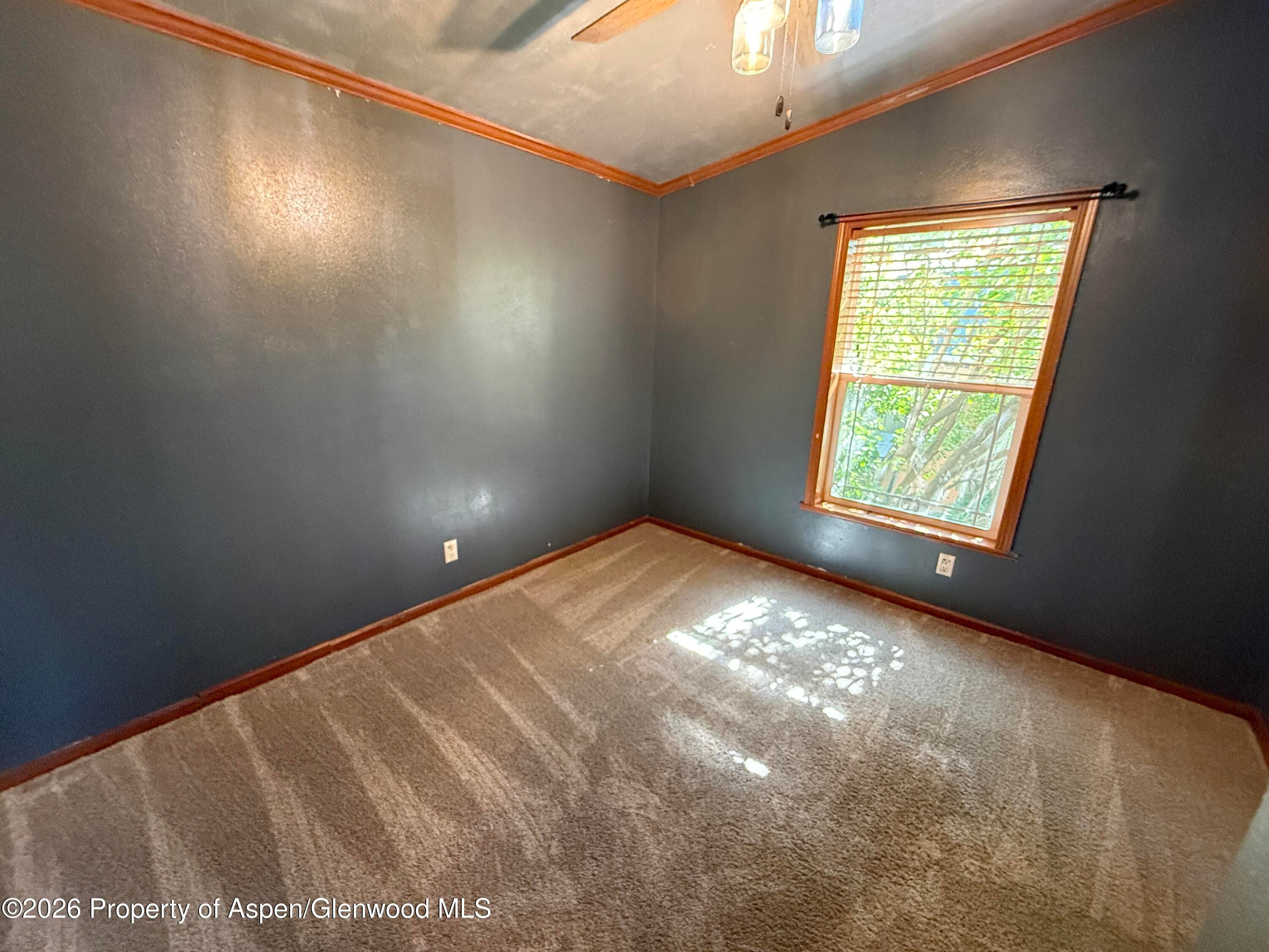 366 S 2nd Street, Hayden, CO 81639 - Photo 17