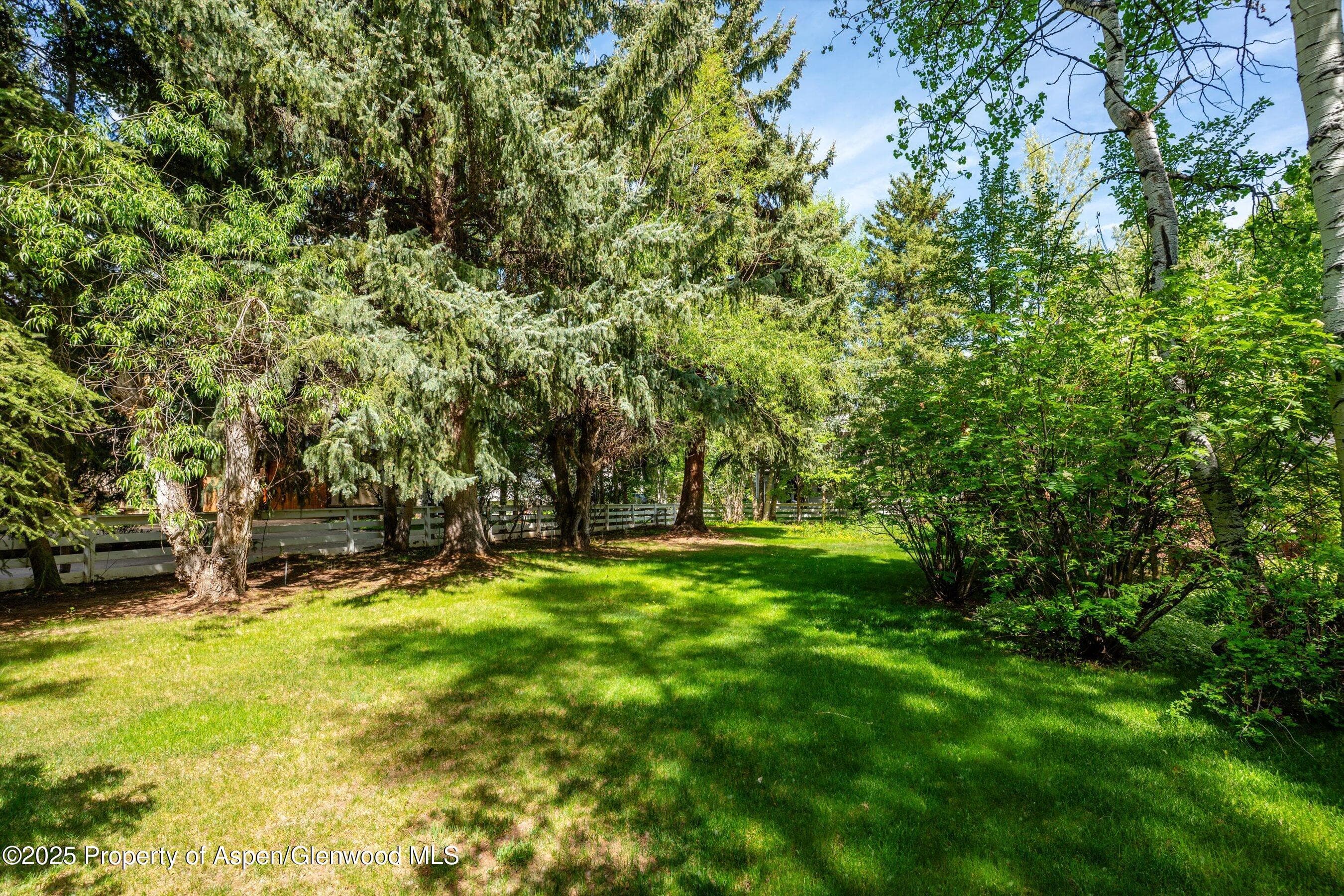 875 Bonita Drive - Photo 7