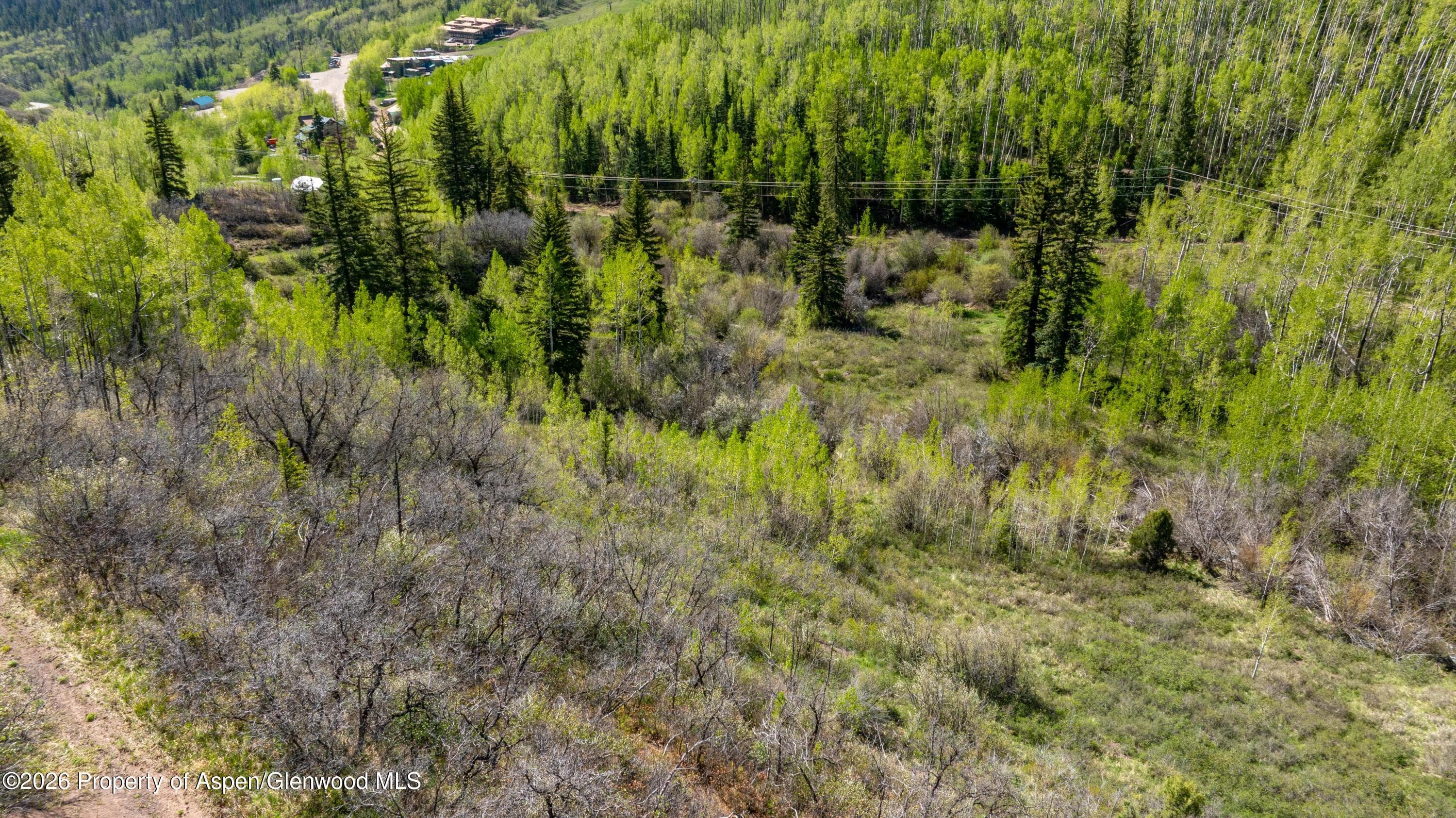 Tbd Forest Service Road 300 The Meadow, Glenwood Springs, CO 81601 - Photo 8