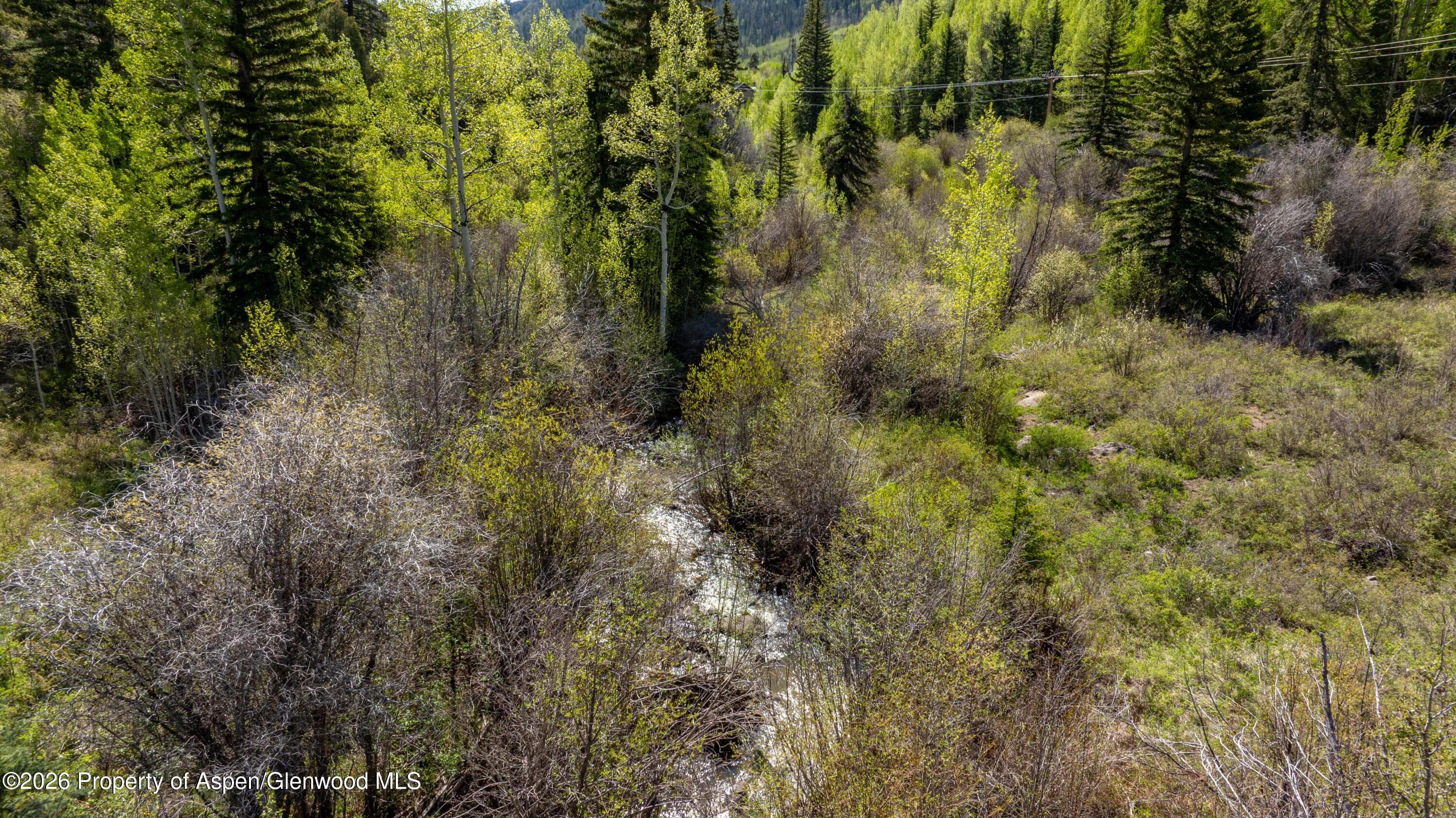 Tbd Forest Service Road 300 The Meadow, Glenwood Springs, CO 81601 - Photo 3