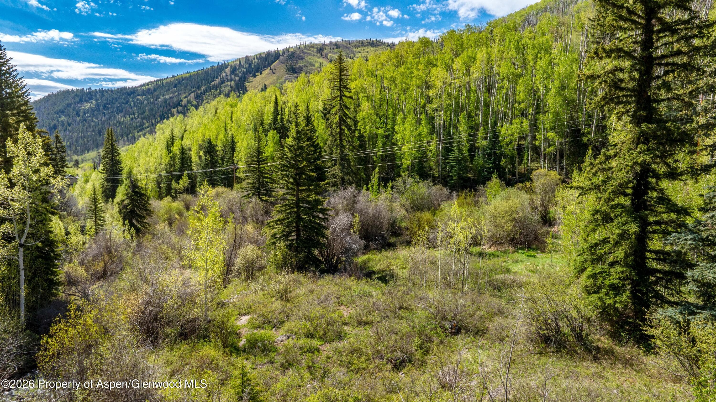 Tbd Forest Service Road 300 The Meadow, Glenwood Springs, CO 81601 - Photo 7