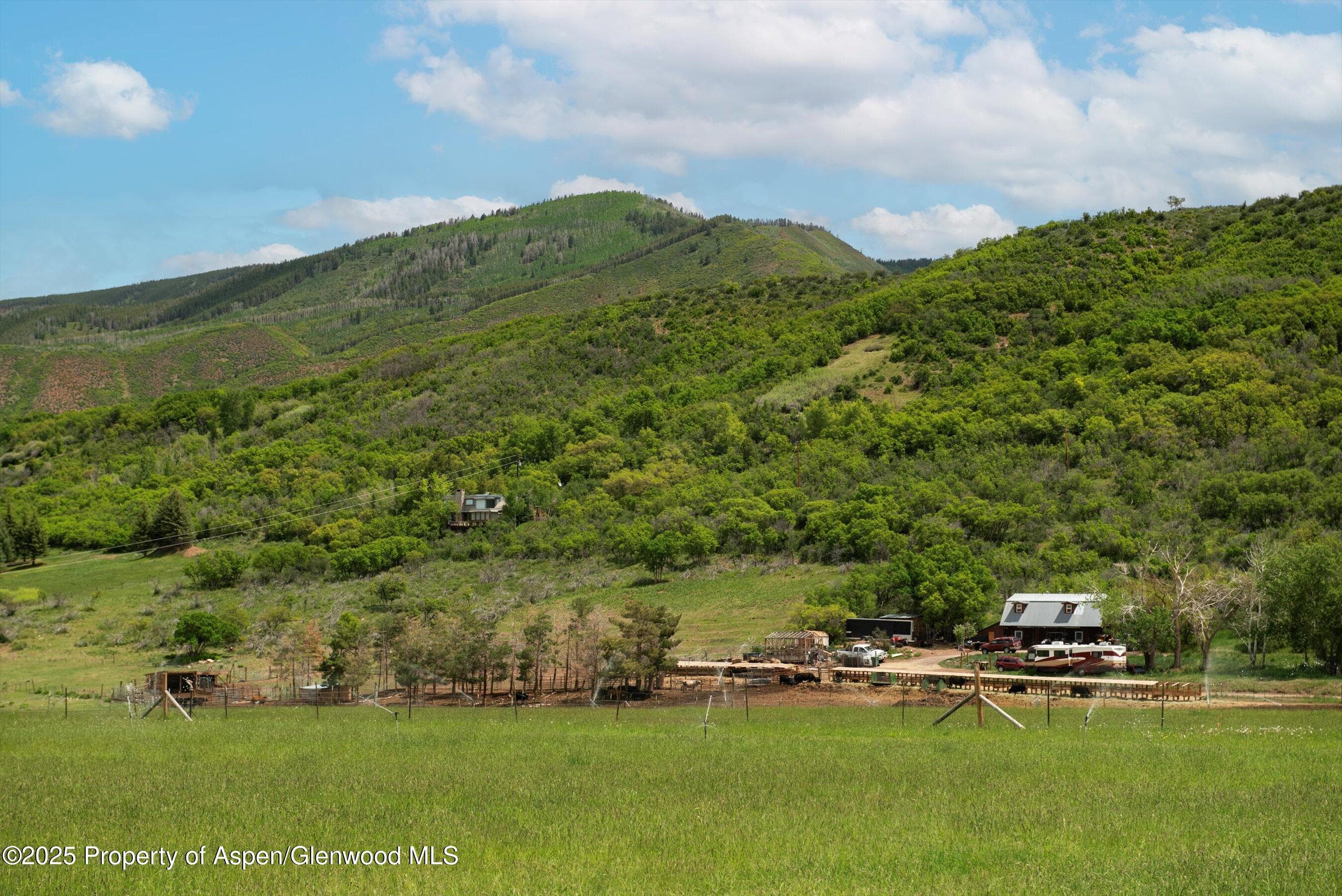 260 Star Mesa Road, Aspen, CO 81611 - Photo 8