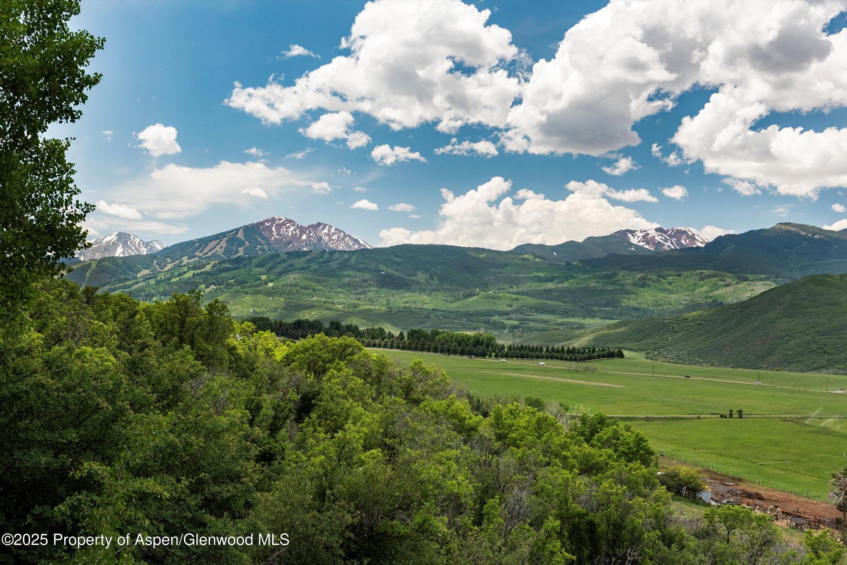 260 Star Mesa Road, Aspen, CO 81611 - Photo 9