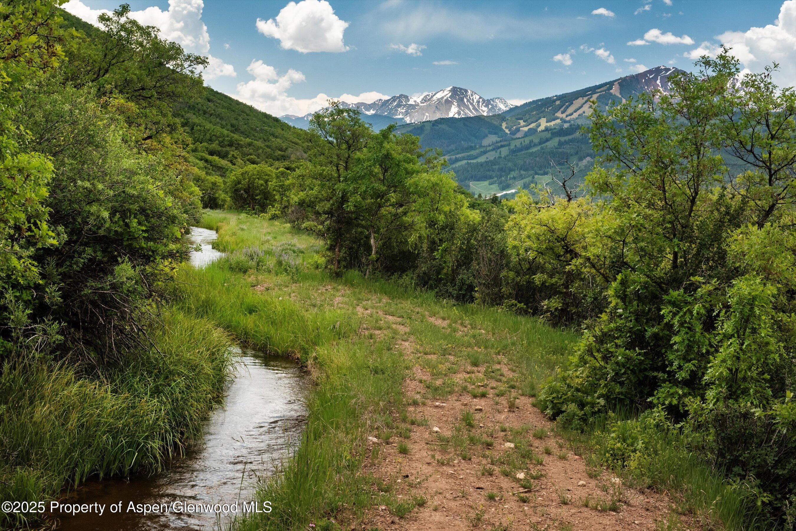 260 Star Mesa Road, Aspen, CO 81611 - Photo 11