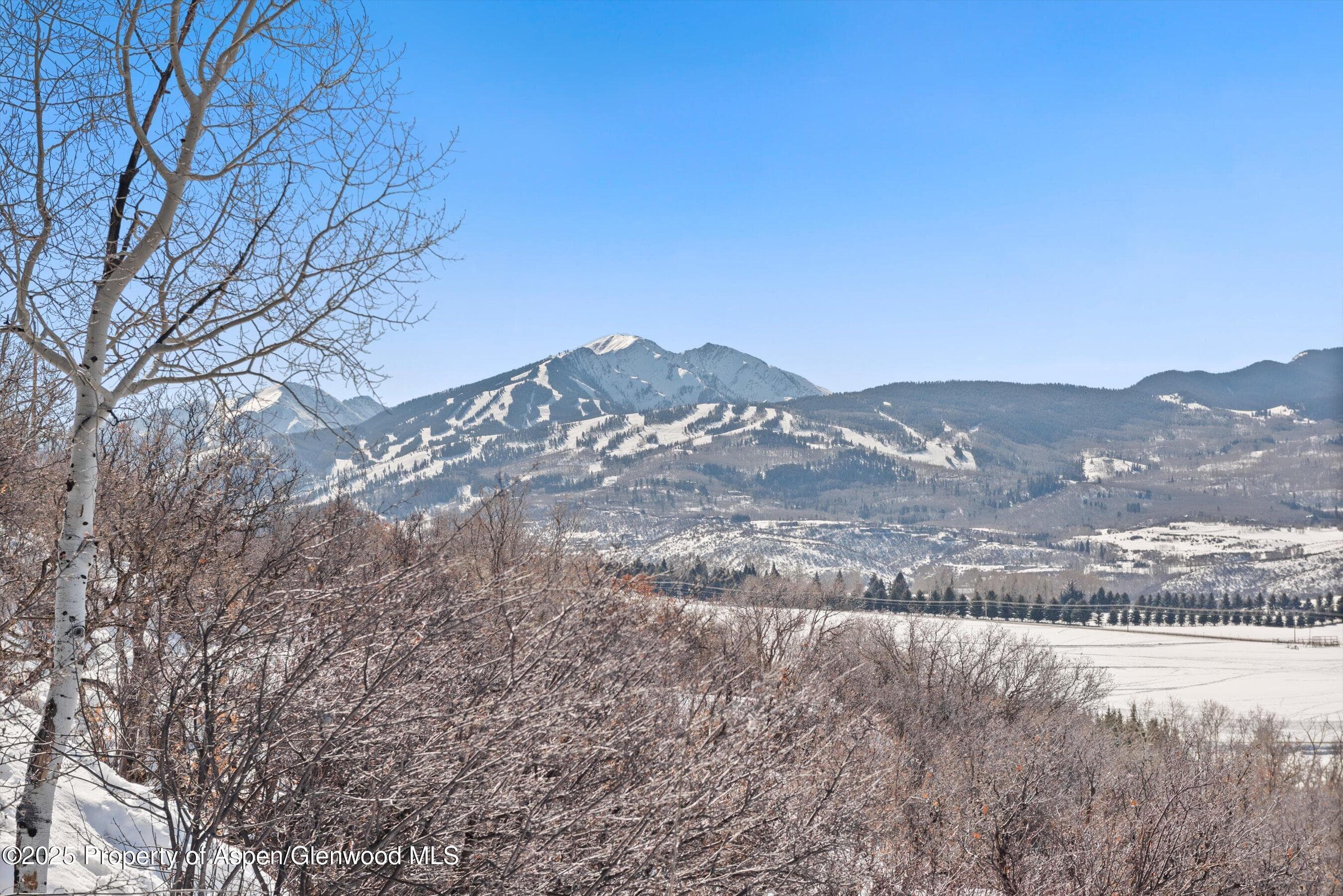 260 Star Mesa Road, Aspen, CO 81611 - Photo 18