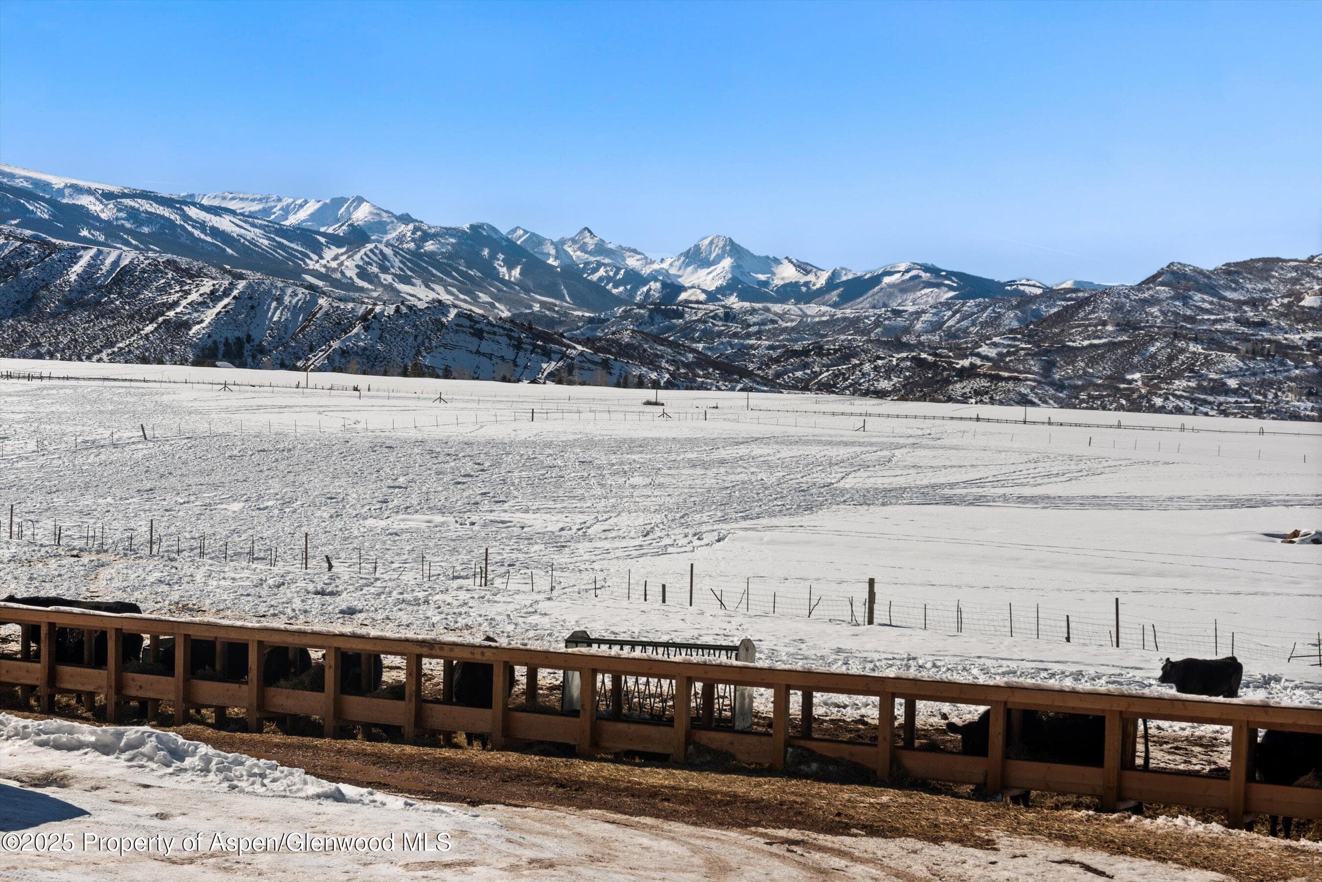 260 Star Mesa Road, Aspen, CO 81611 - Photo 28