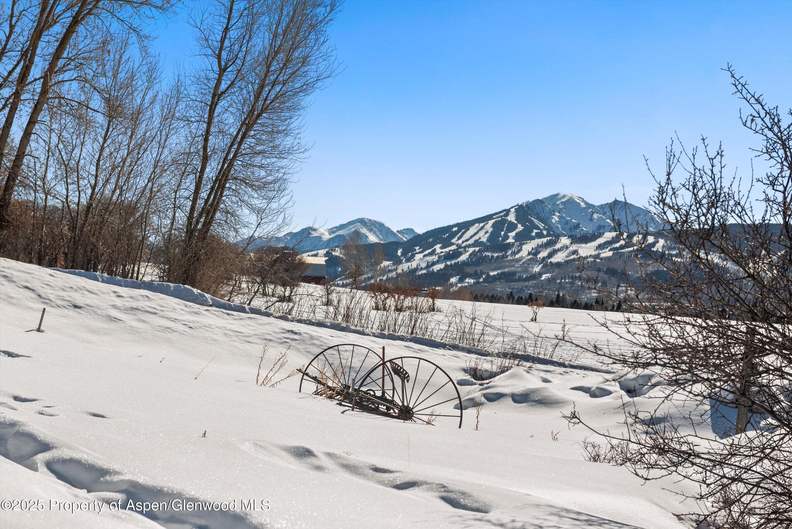 260 Star Mesa Road, Aspen, CO 81611 - Photo 30