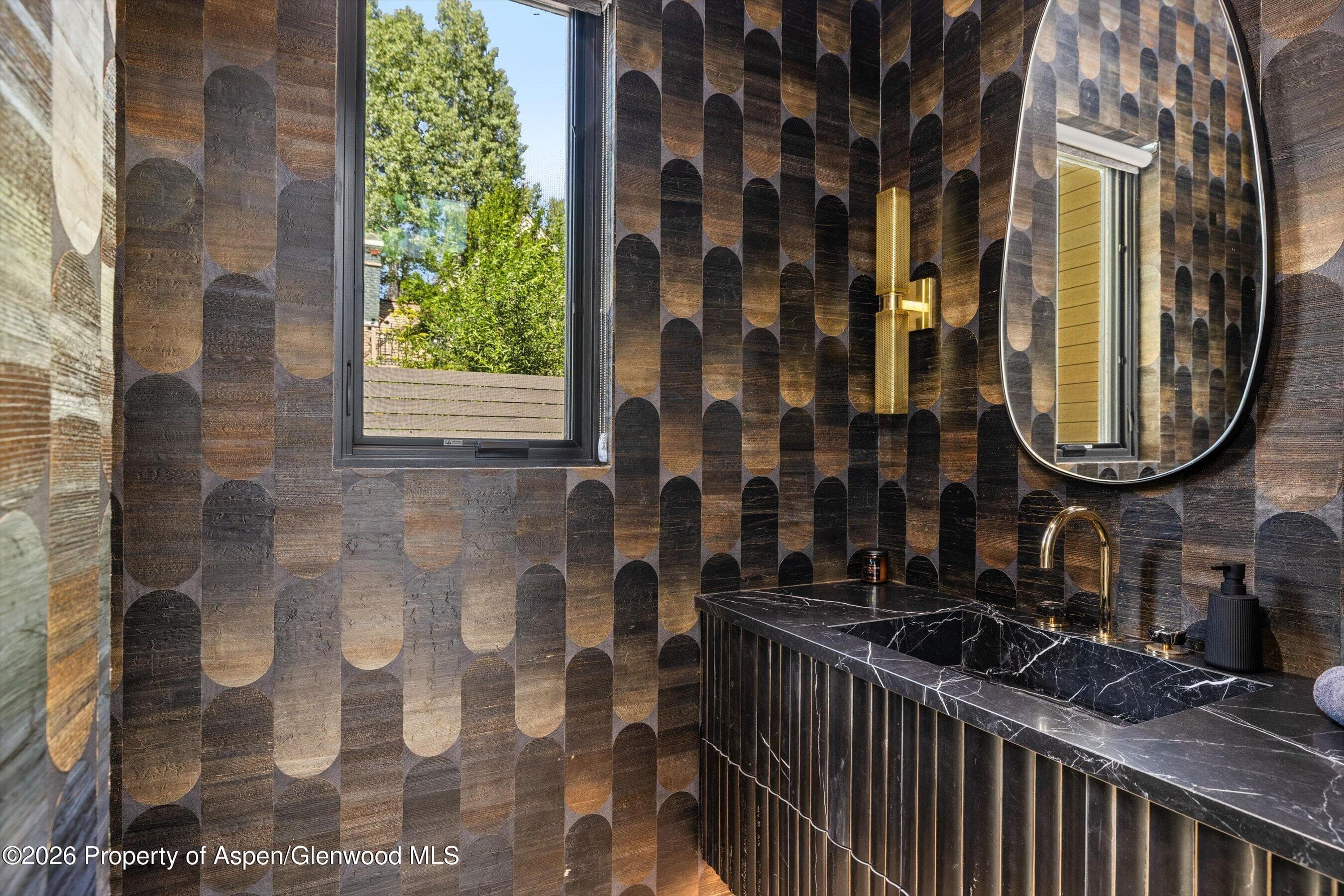 219 W Bleeker Street, Aspen, CO 81611 - Photo 12