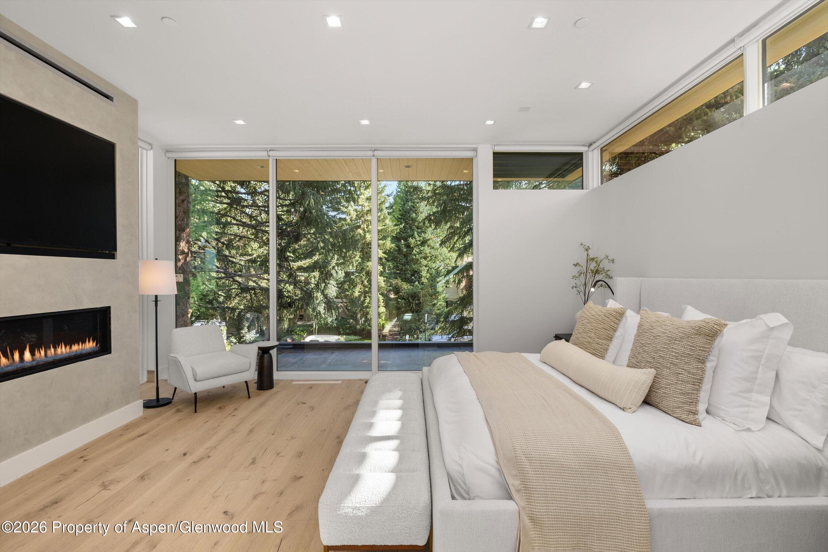219 W Bleeker Street, Aspen, CO 81611 - Photo 14