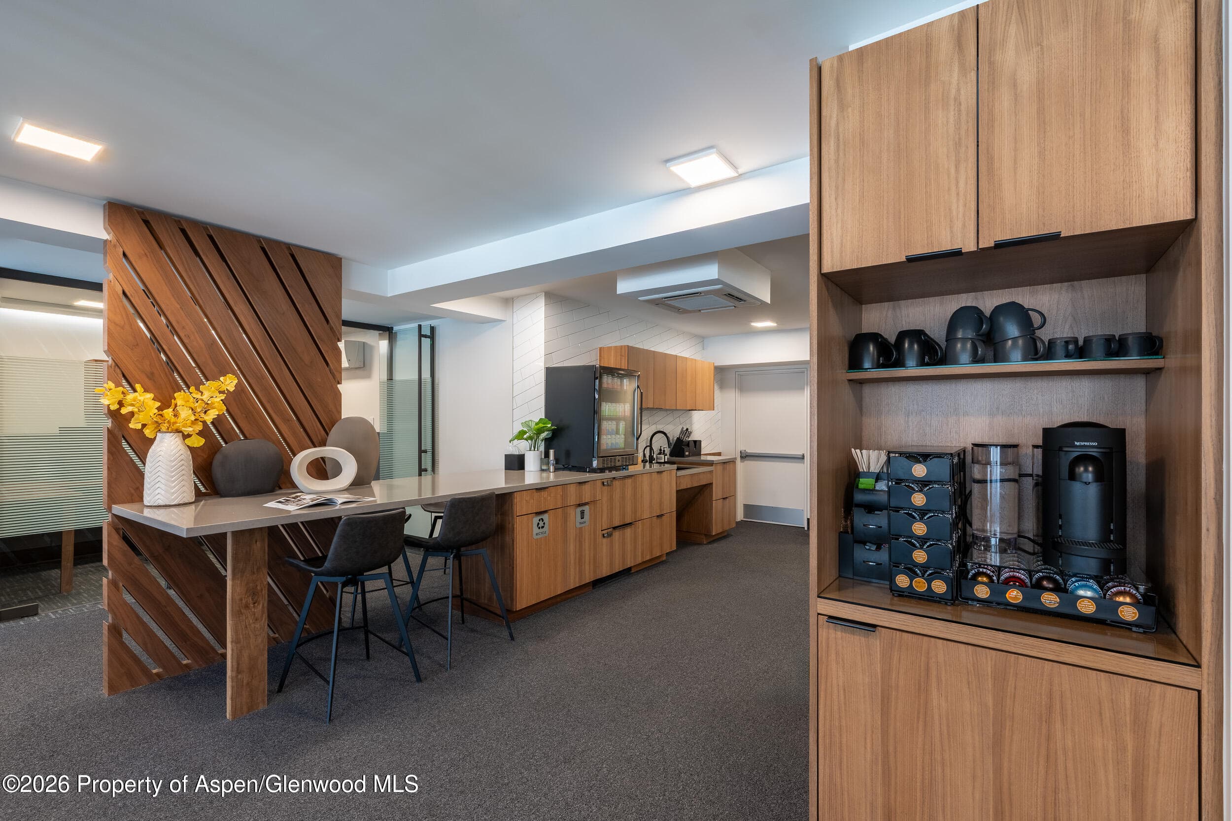 520 E Cooper Avenue C7, Aspen, CO 81611 - Photo 2