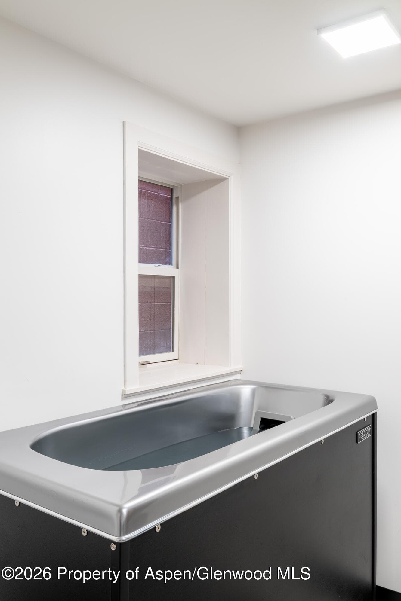 520 E Cooper Avenue C7, Aspen, CO 81611 - Photo 8